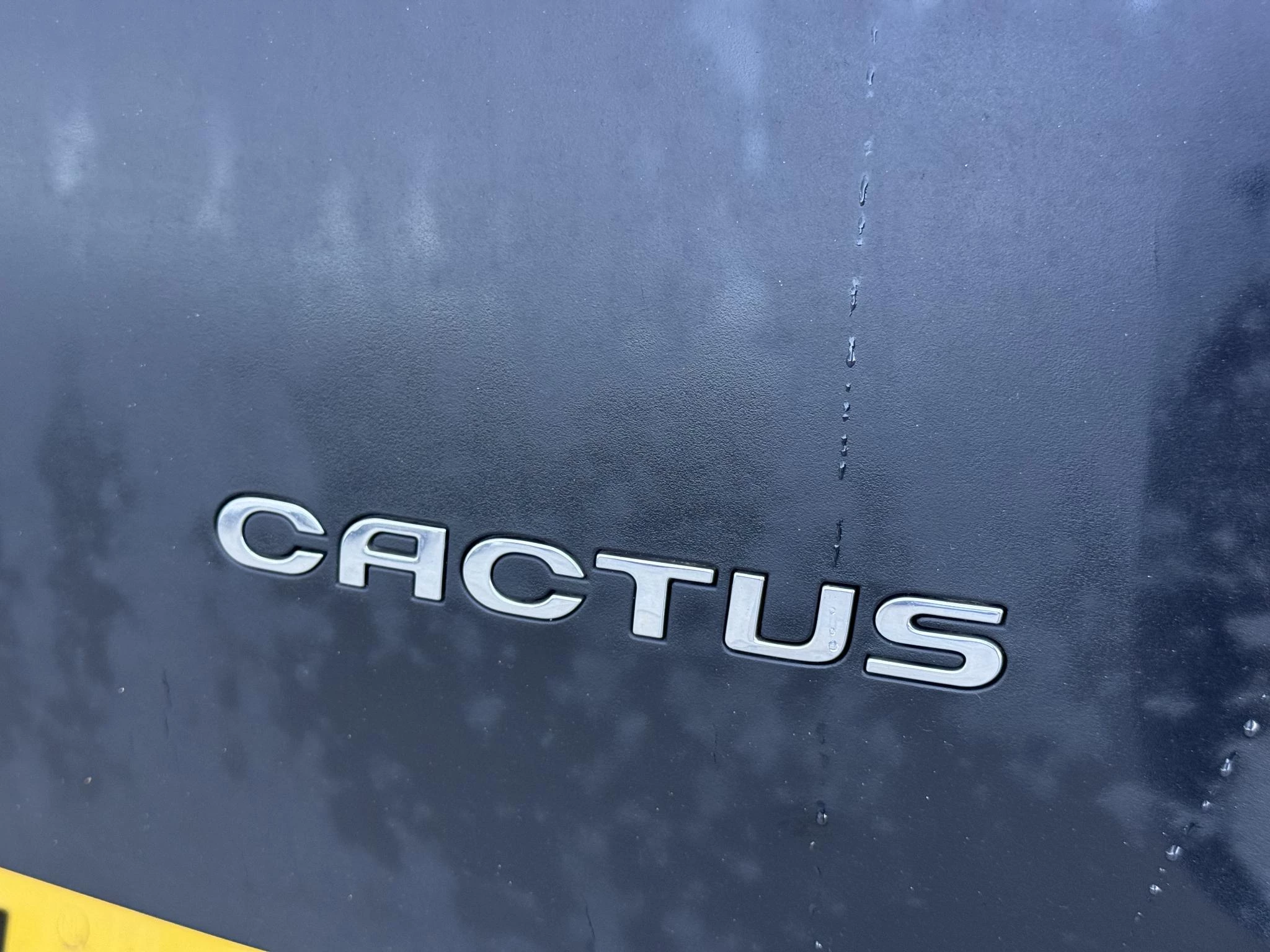 Hoofdafbeelding Citroën C4 Cactus