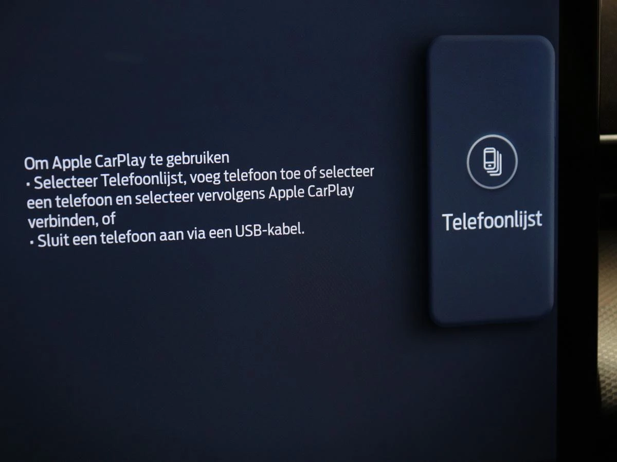 Hoofdafbeelding Ford Mustang Mach-E