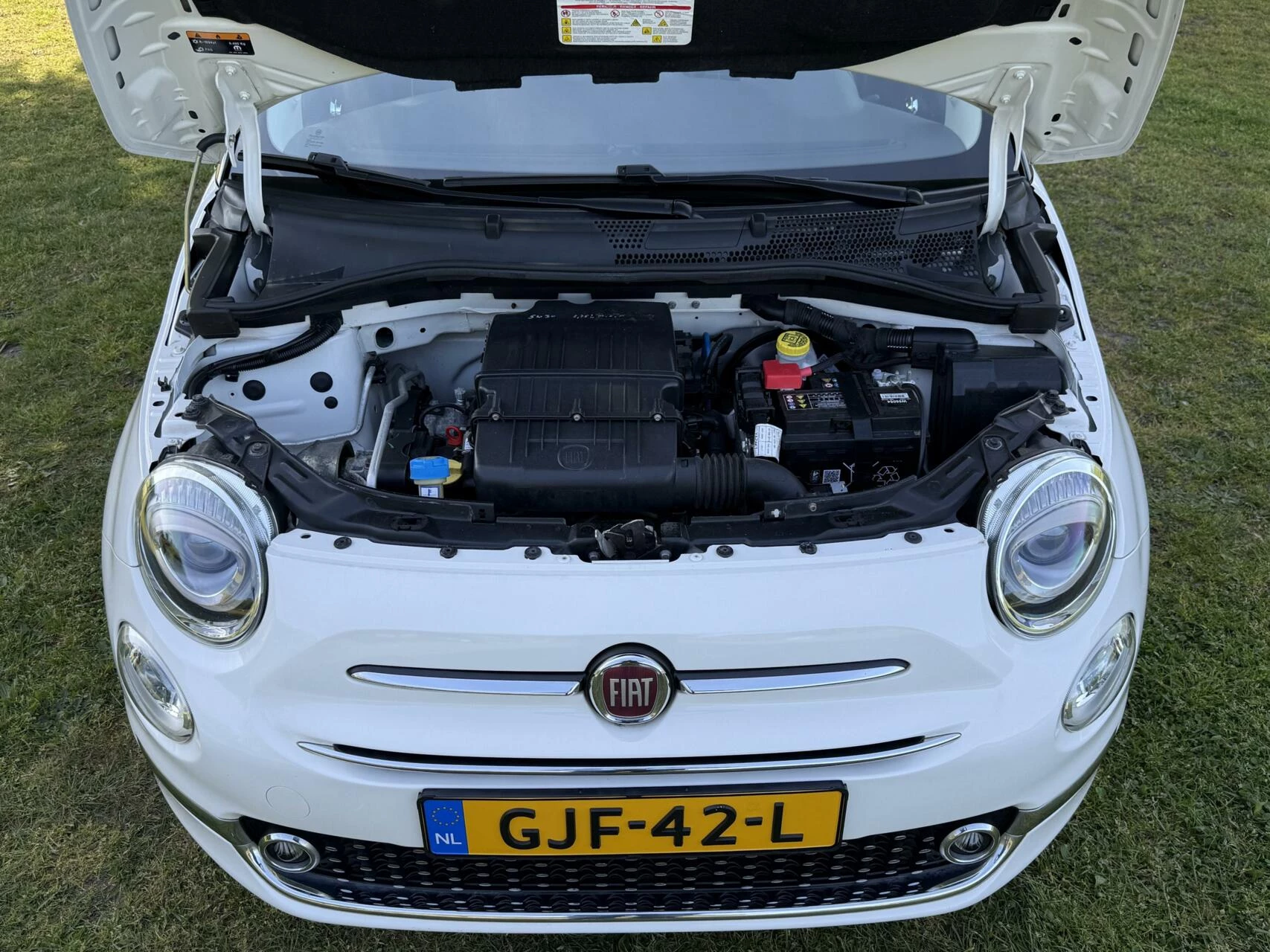 Hoofdafbeelding Fiat 500C