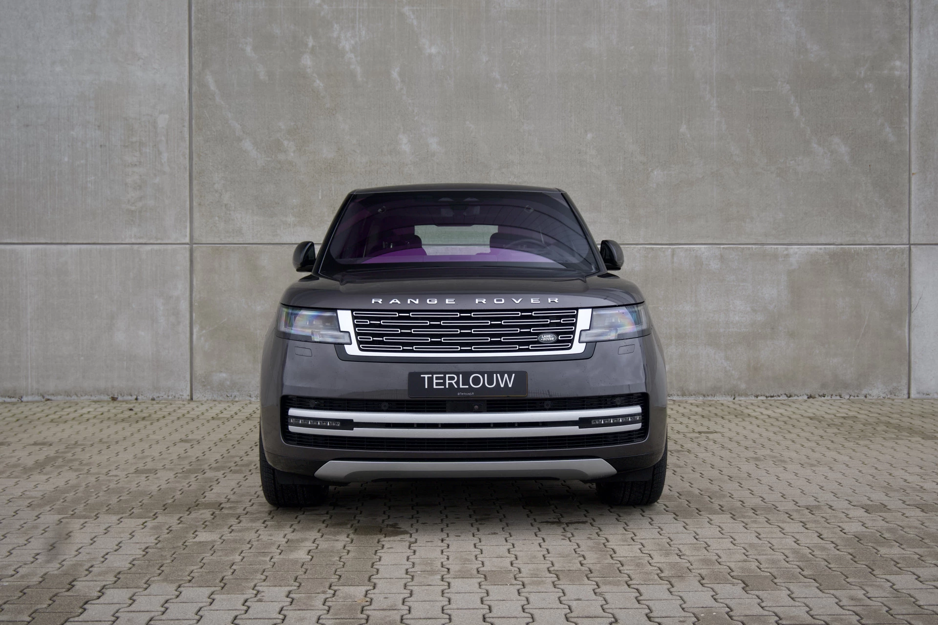 Hoofdafbeelding Land Rover Range Rover