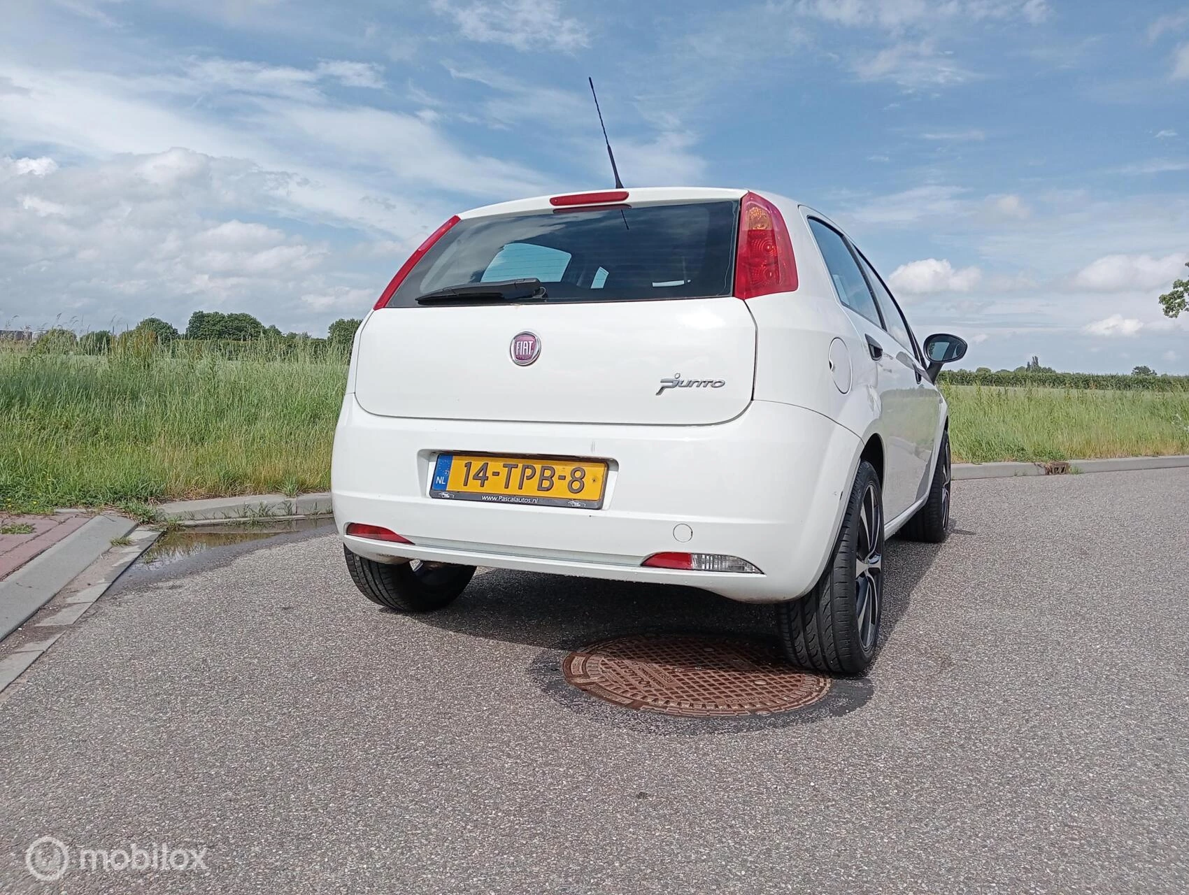 Hoofdafbeelding Fiat Punto