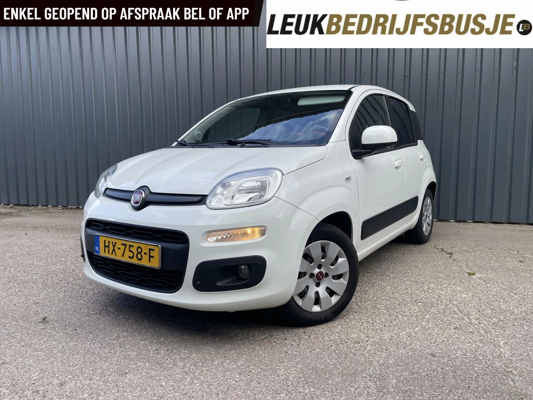 Hoofdafbeelding Fiat Panda