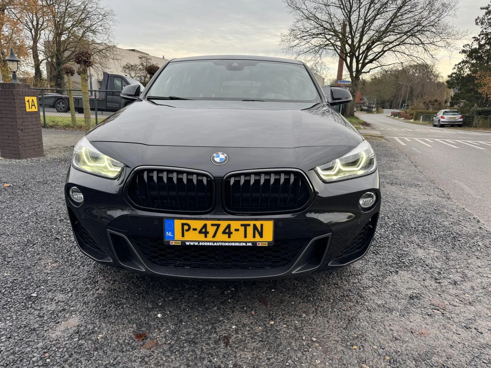 Hoofdafbeelding BMW X2