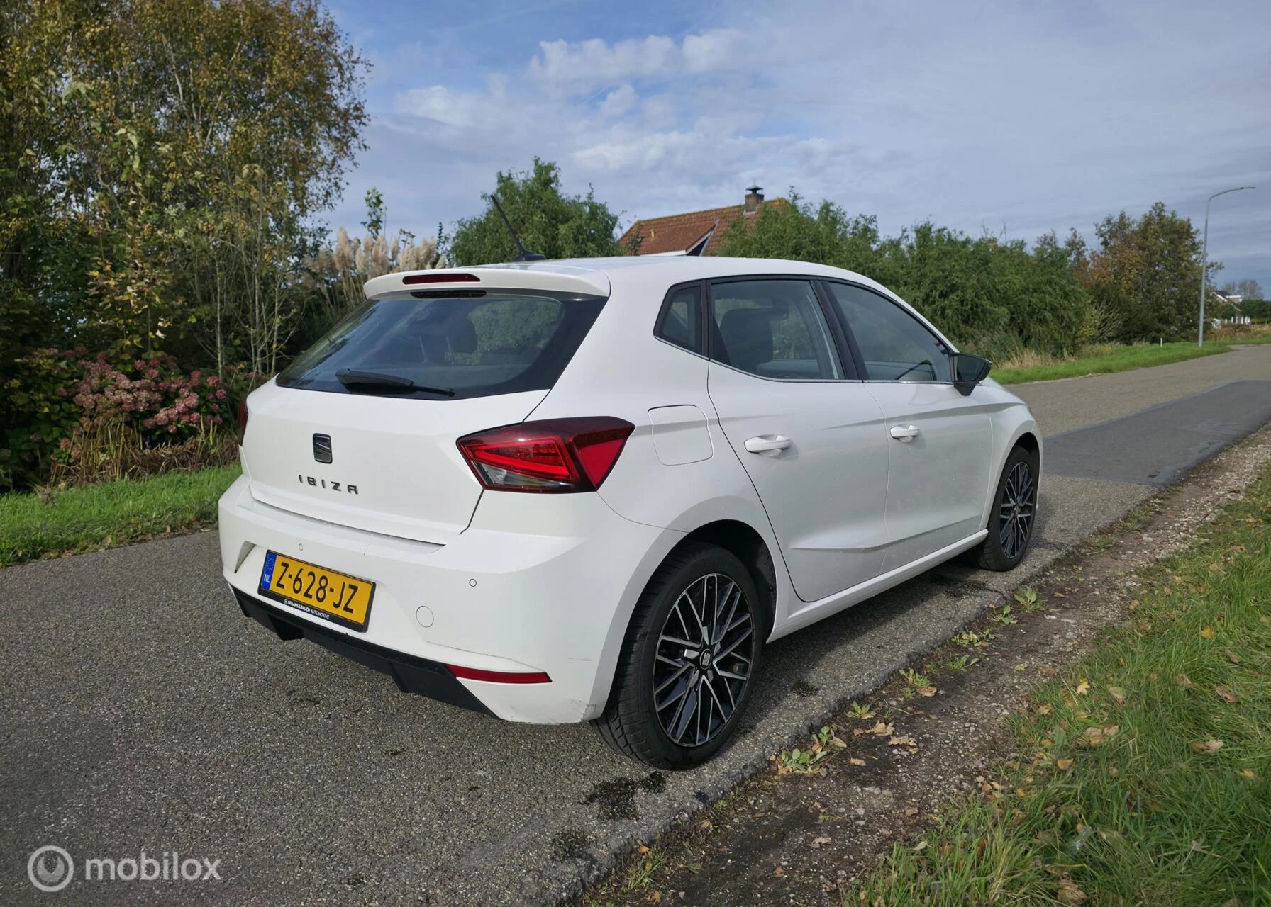 Hoofdafbeelding SEAT Ibiza