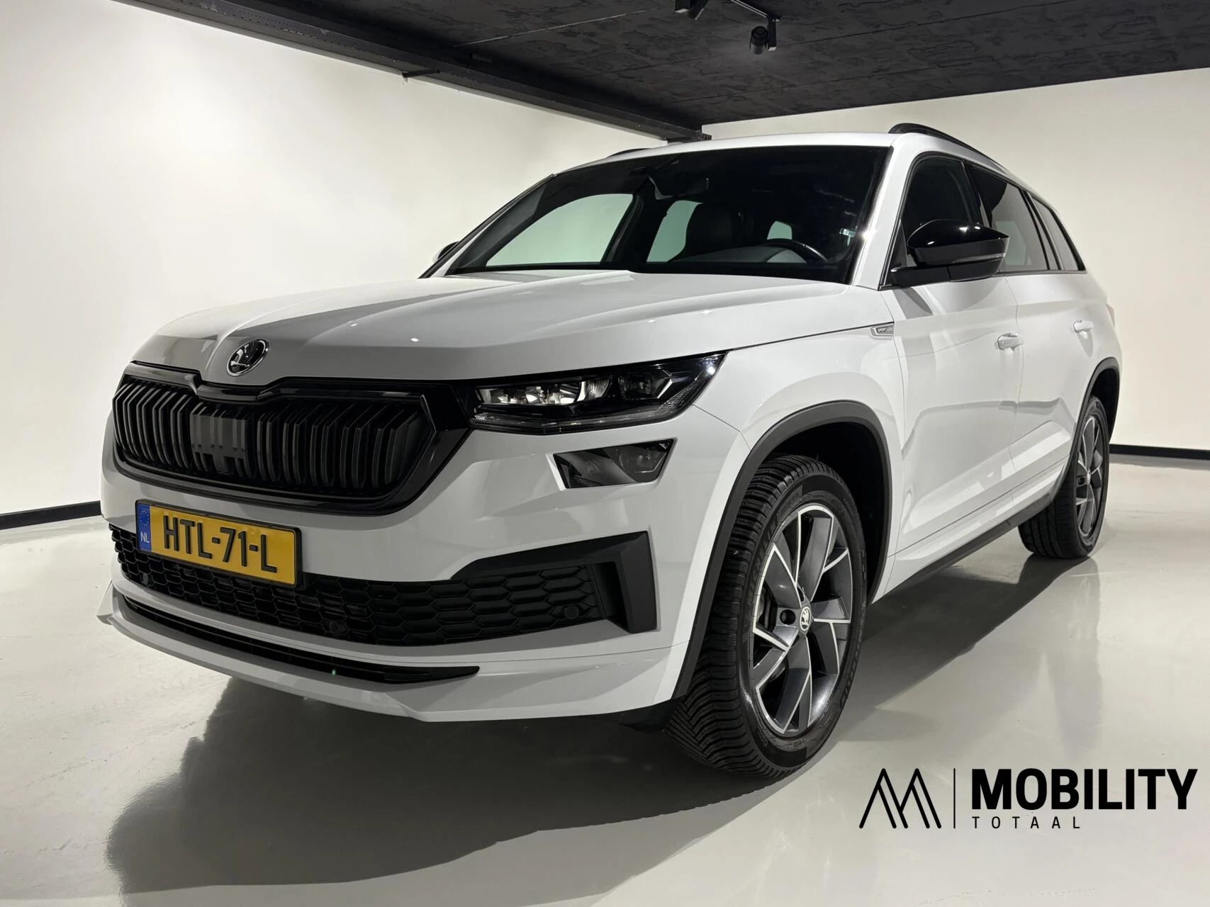 Hoofdafbeelding Škoda Kodiaq