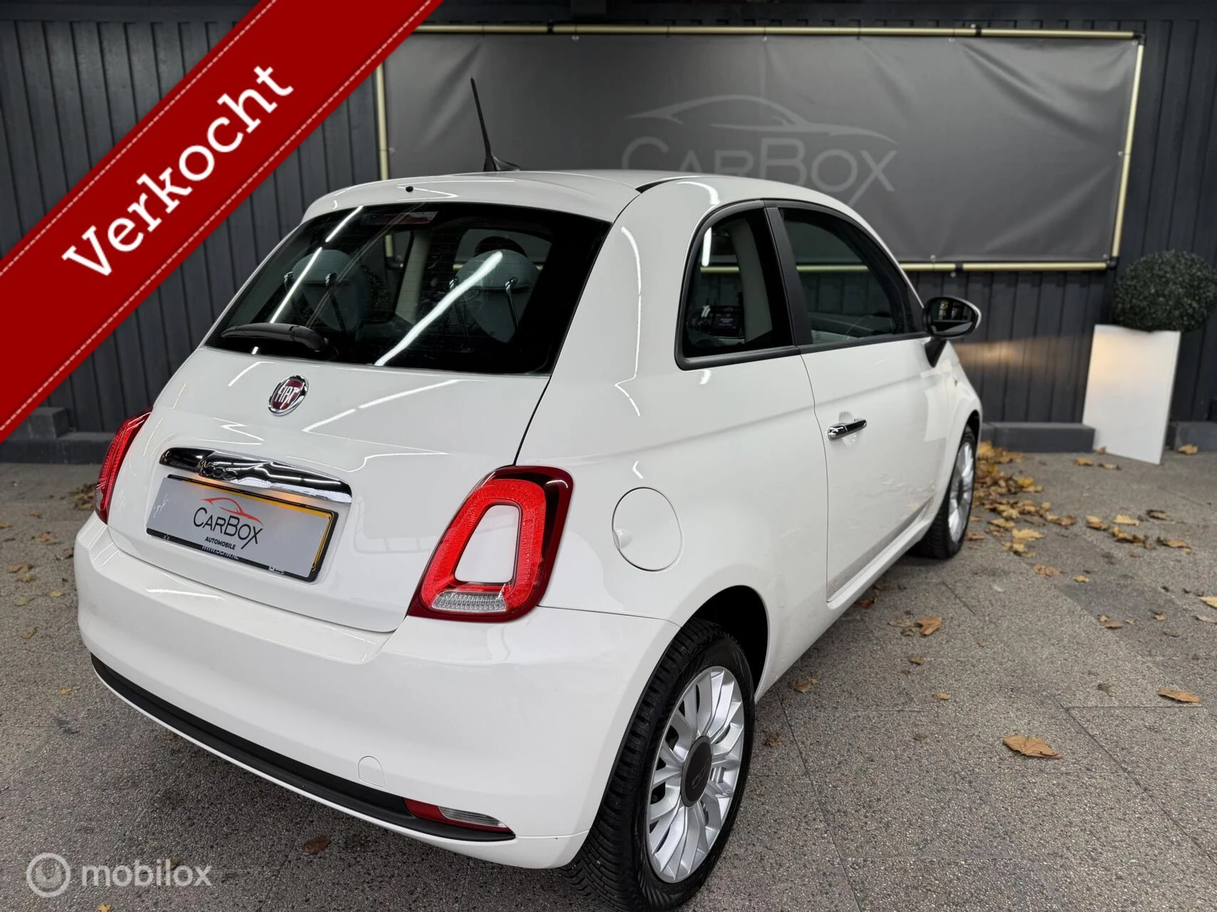 Hoofdafbeelding Fiat 500