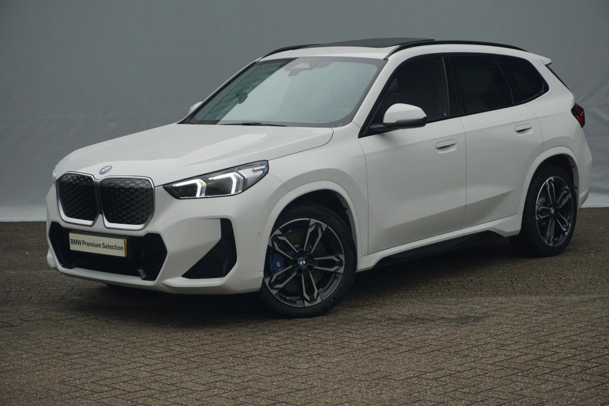 Hoofdafbeelding BMW iX1
