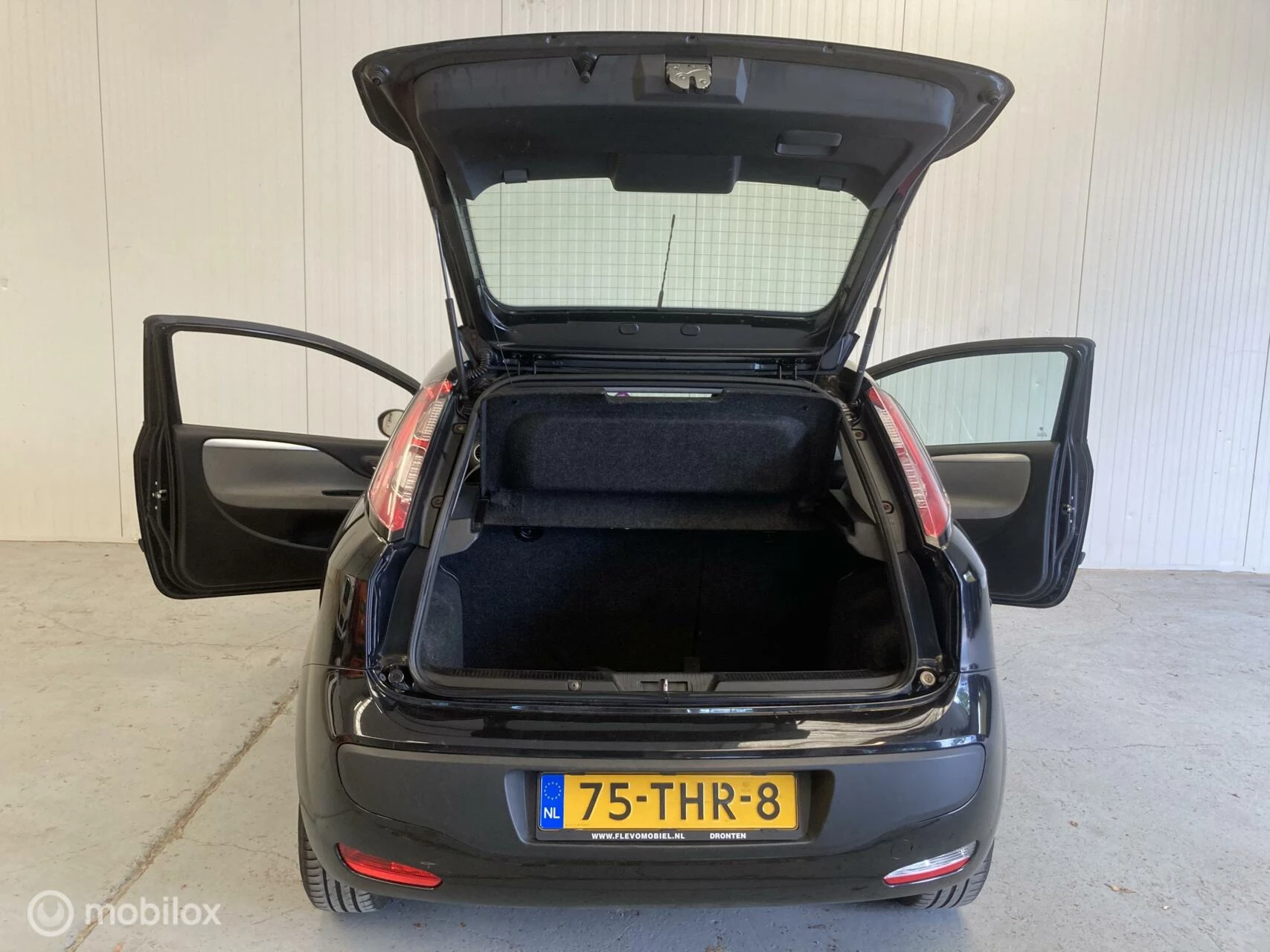 Hoofdafbeelding Fiat Punto