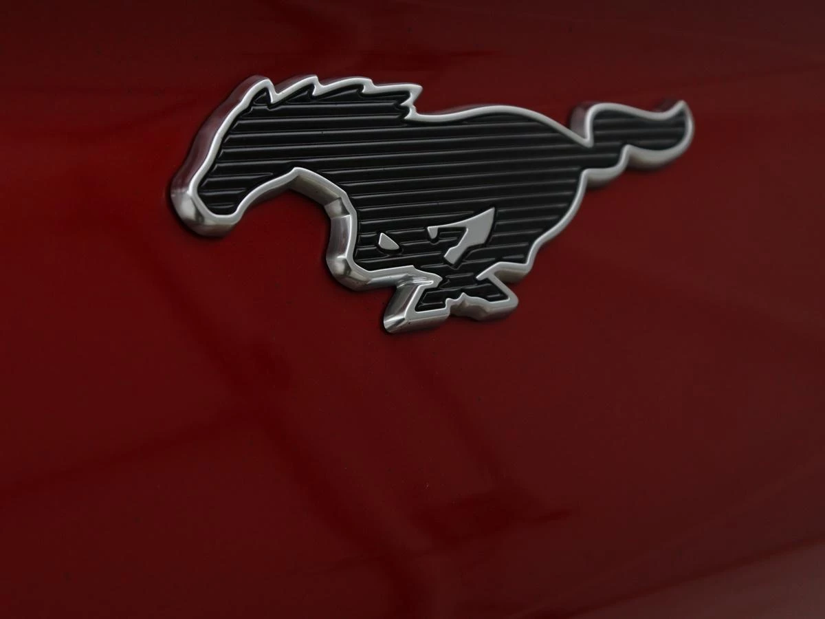 Hoofdafbeelding Ford Mustang Mach-E
