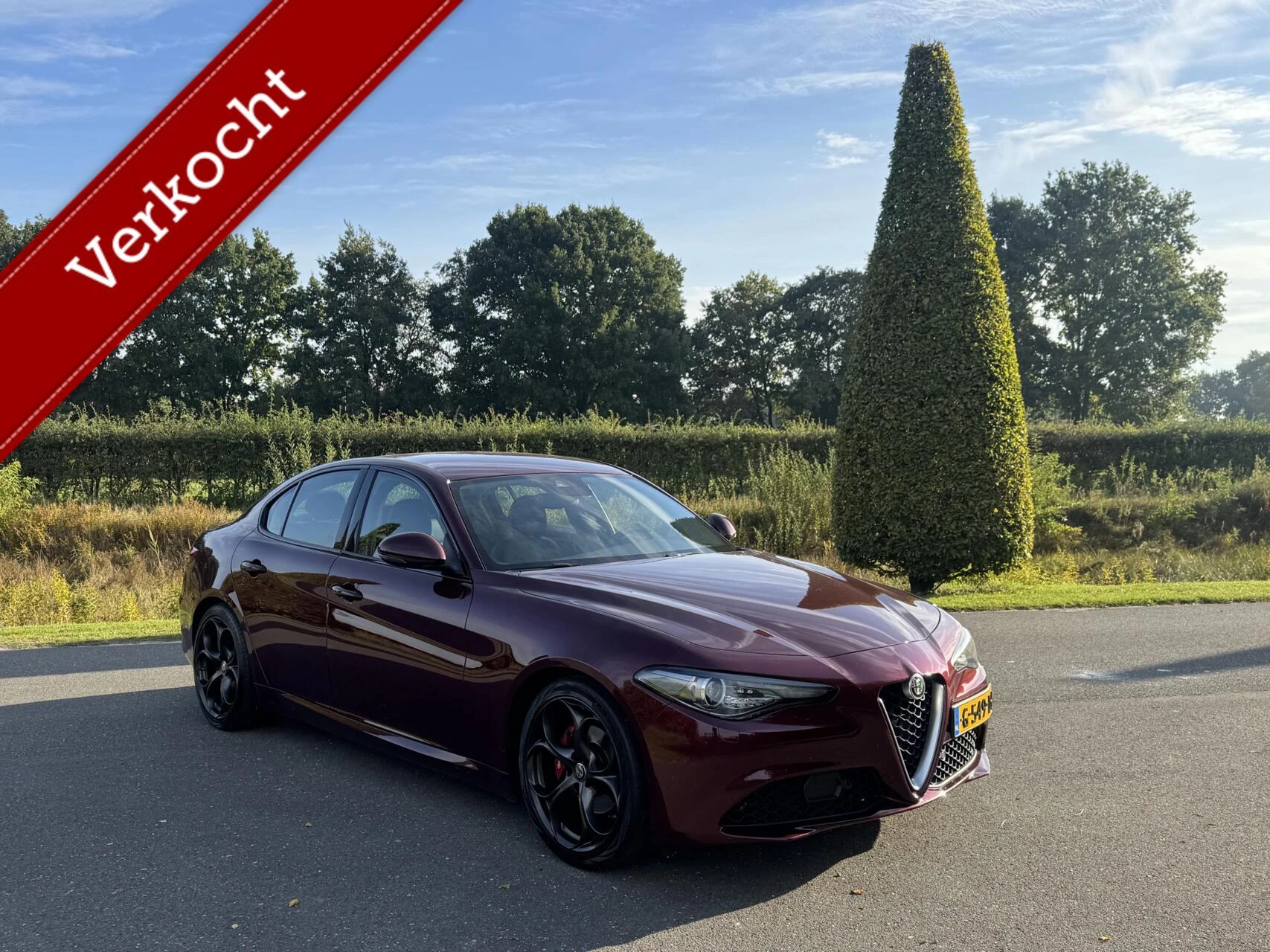 Hoofdafbeelding Alfa Romeo Giulia