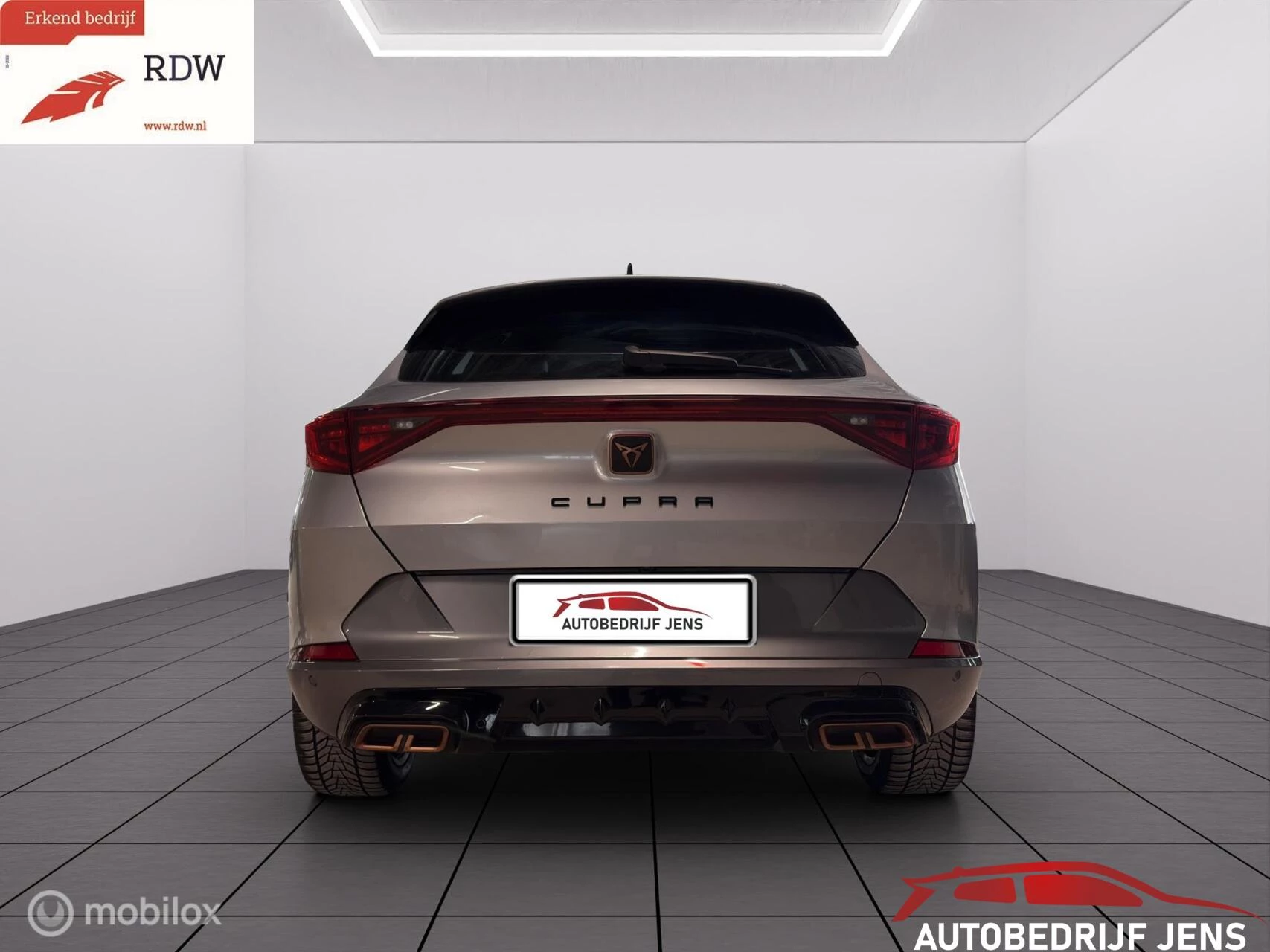Hoofdafbeelding CUPRA Formentor