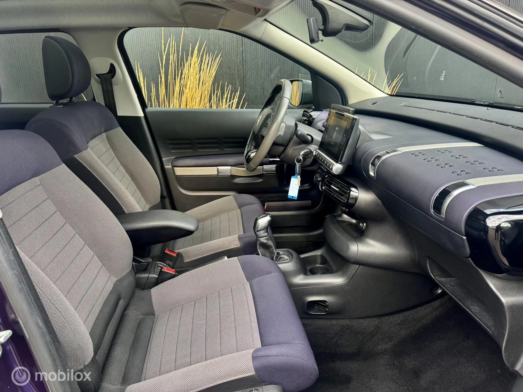 Hoofdafbeelding Citroën C4 Cactus