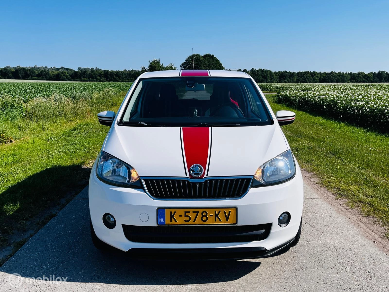 Hoofdafbeelding Škoda Citigo