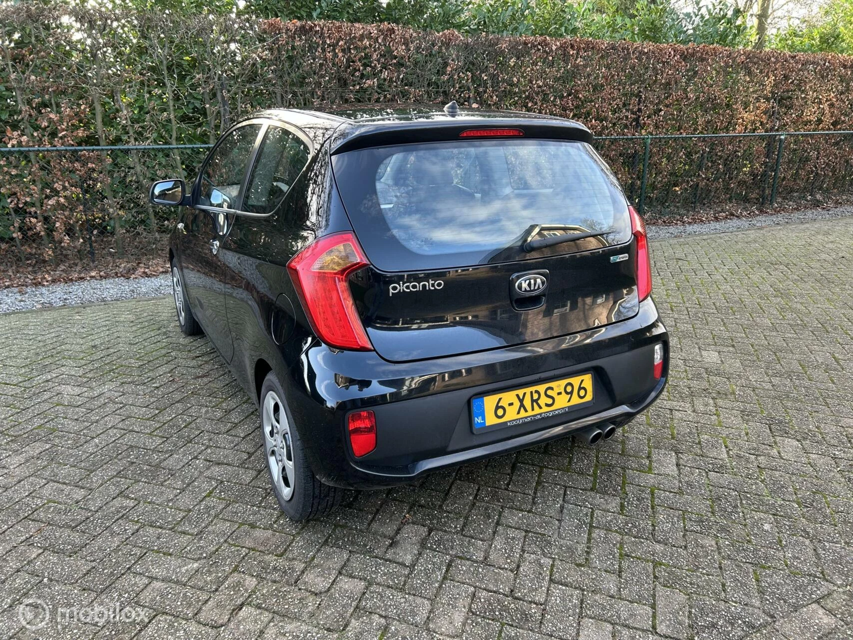 Hoofdafbeelding Kia Picanto