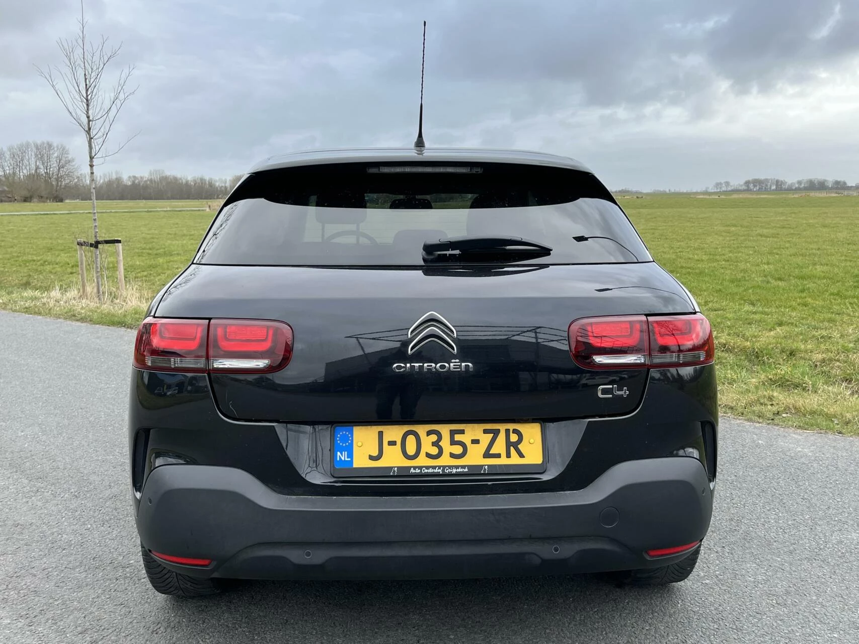 Hoofdafbeelding Citroën C4 Cactus