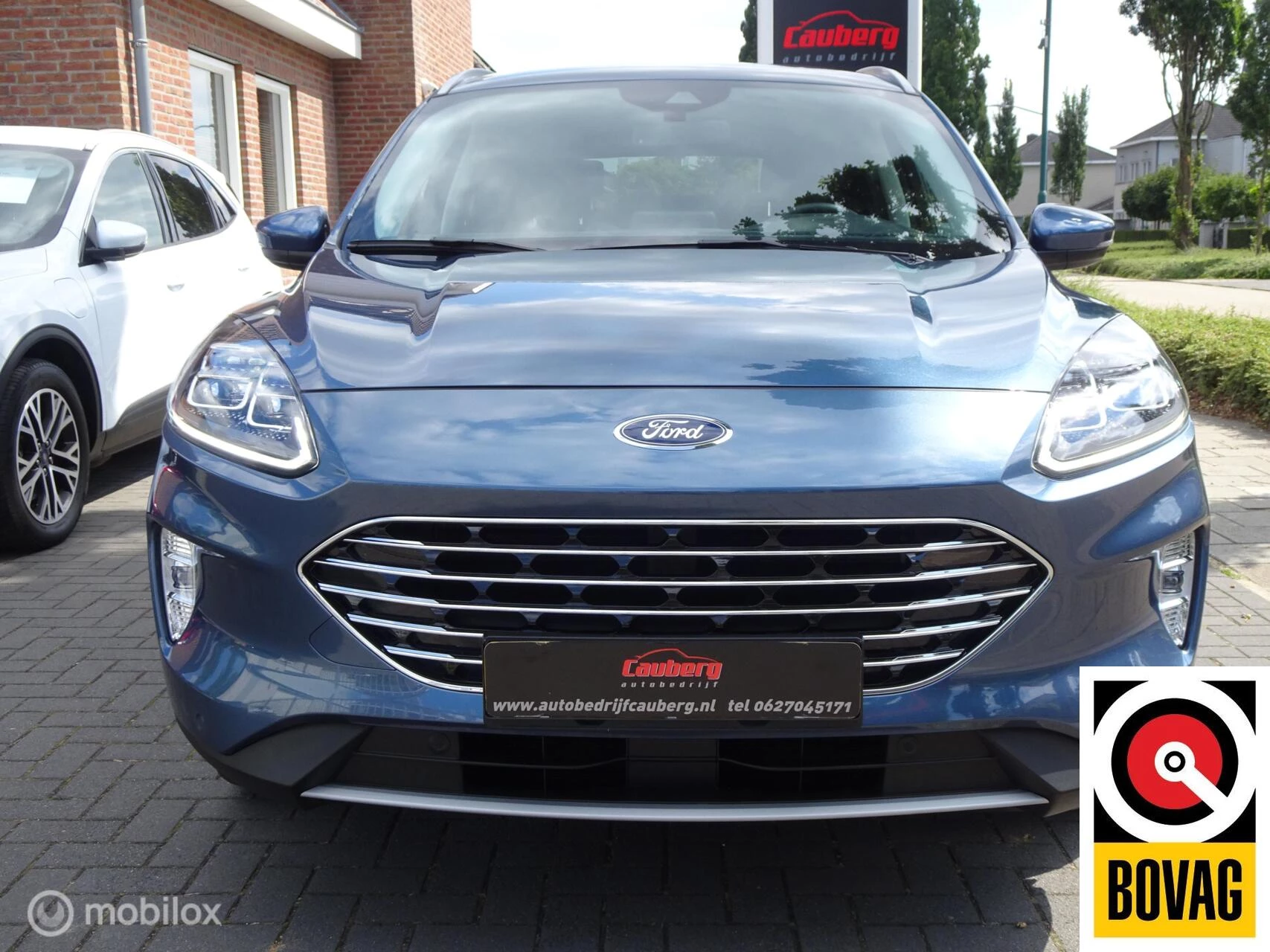 Hoofdafbeelding Ford Kuga