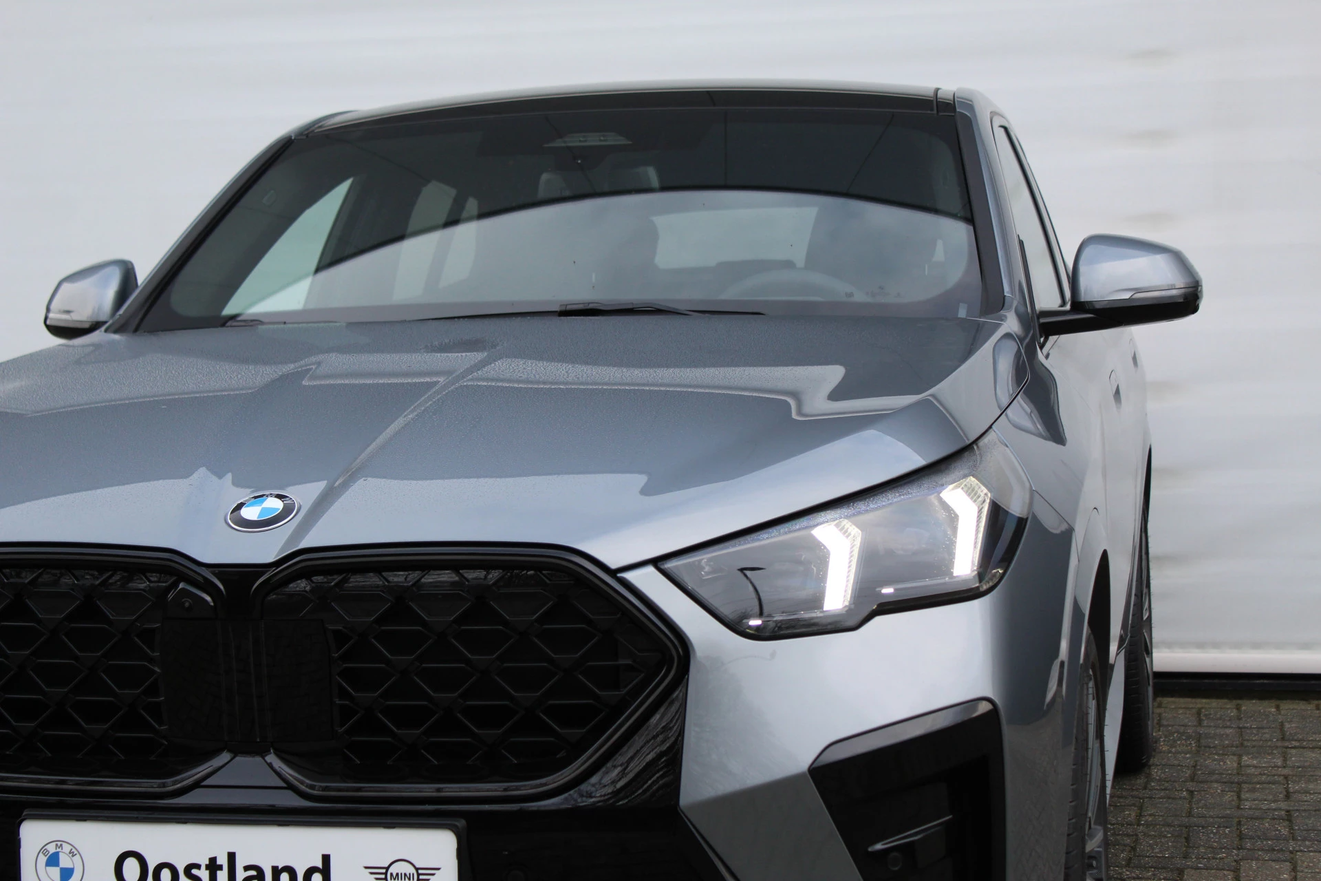 Hoofdafbeelding BMW X2