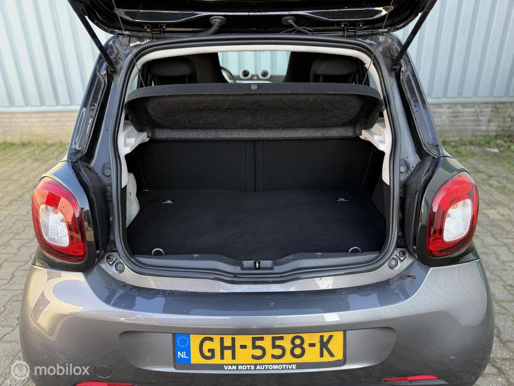 Hoofdafbeelding smart Forfour