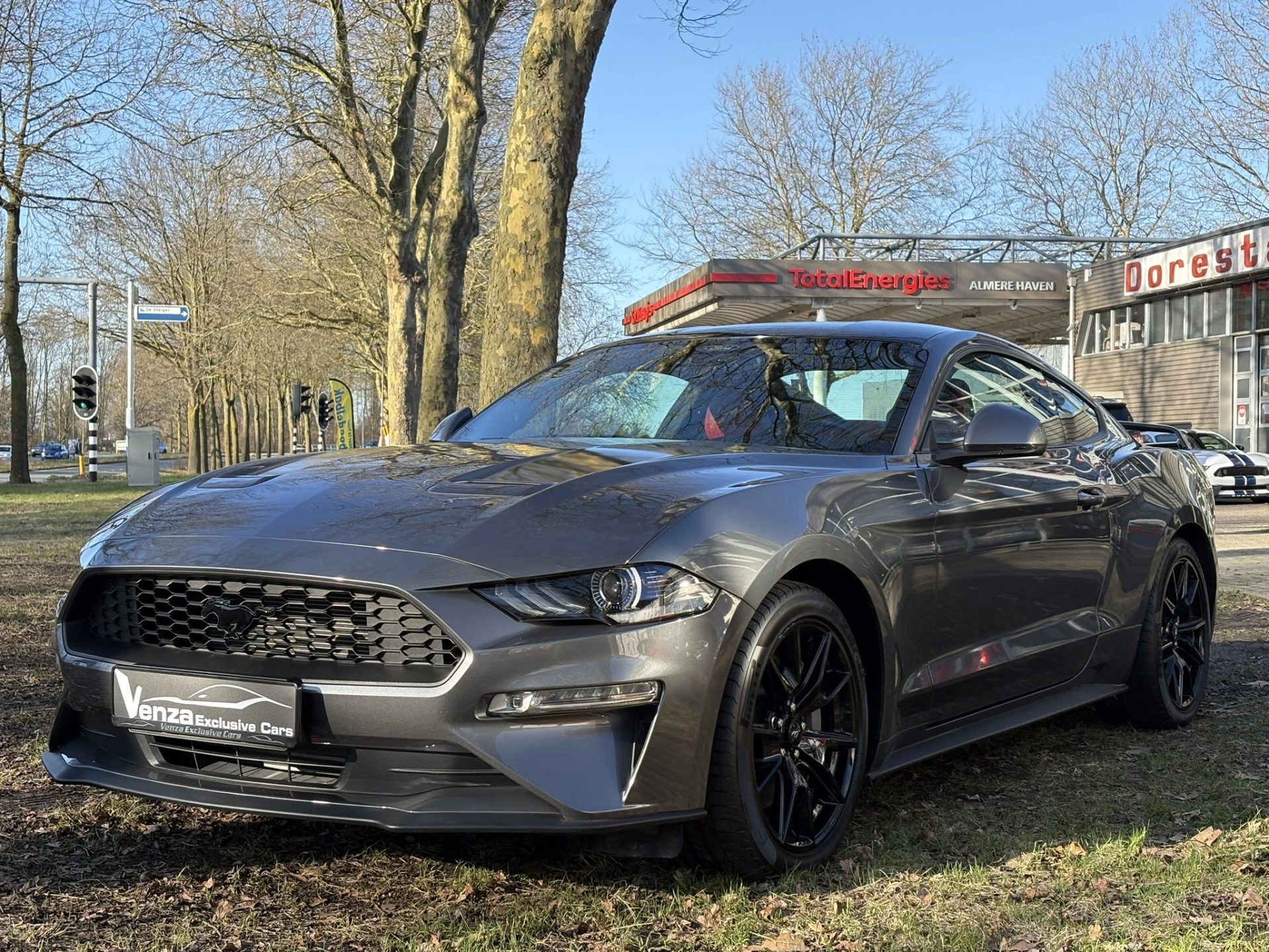 Hoofdafbeelding Ford Mustang