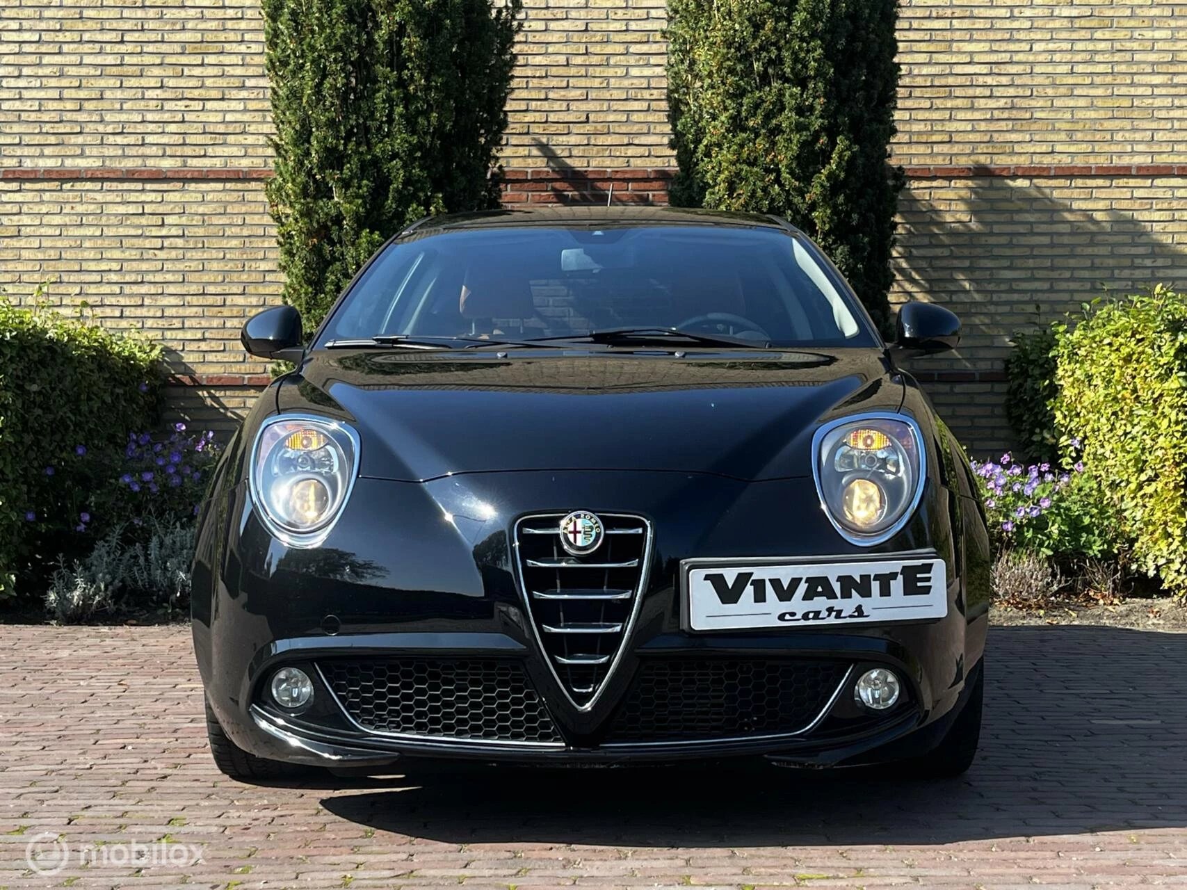 Hoofdafbeelding Alfa Romeo MiTo