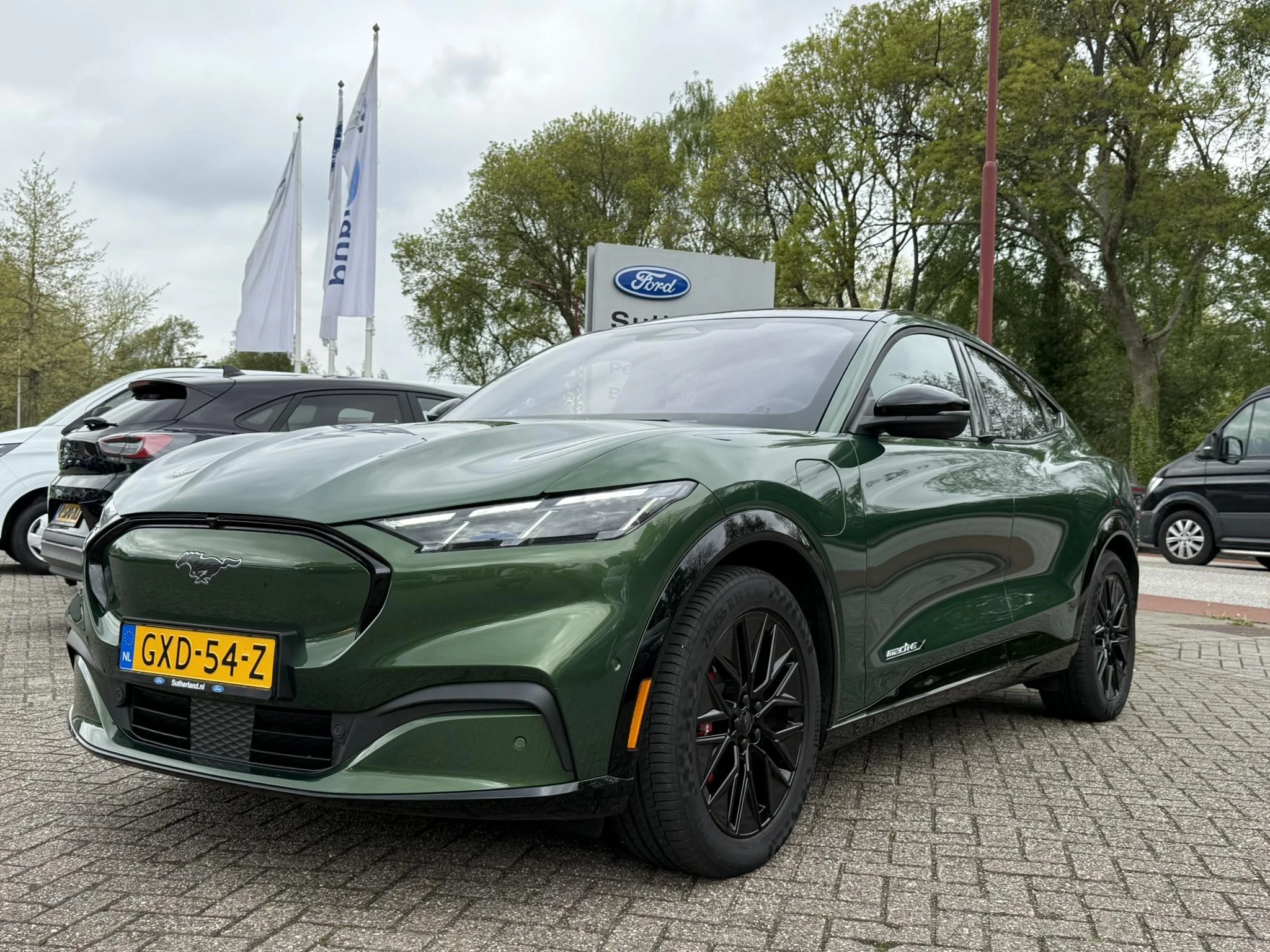 Hoofdafbeelding Ford Mustang Mach-E