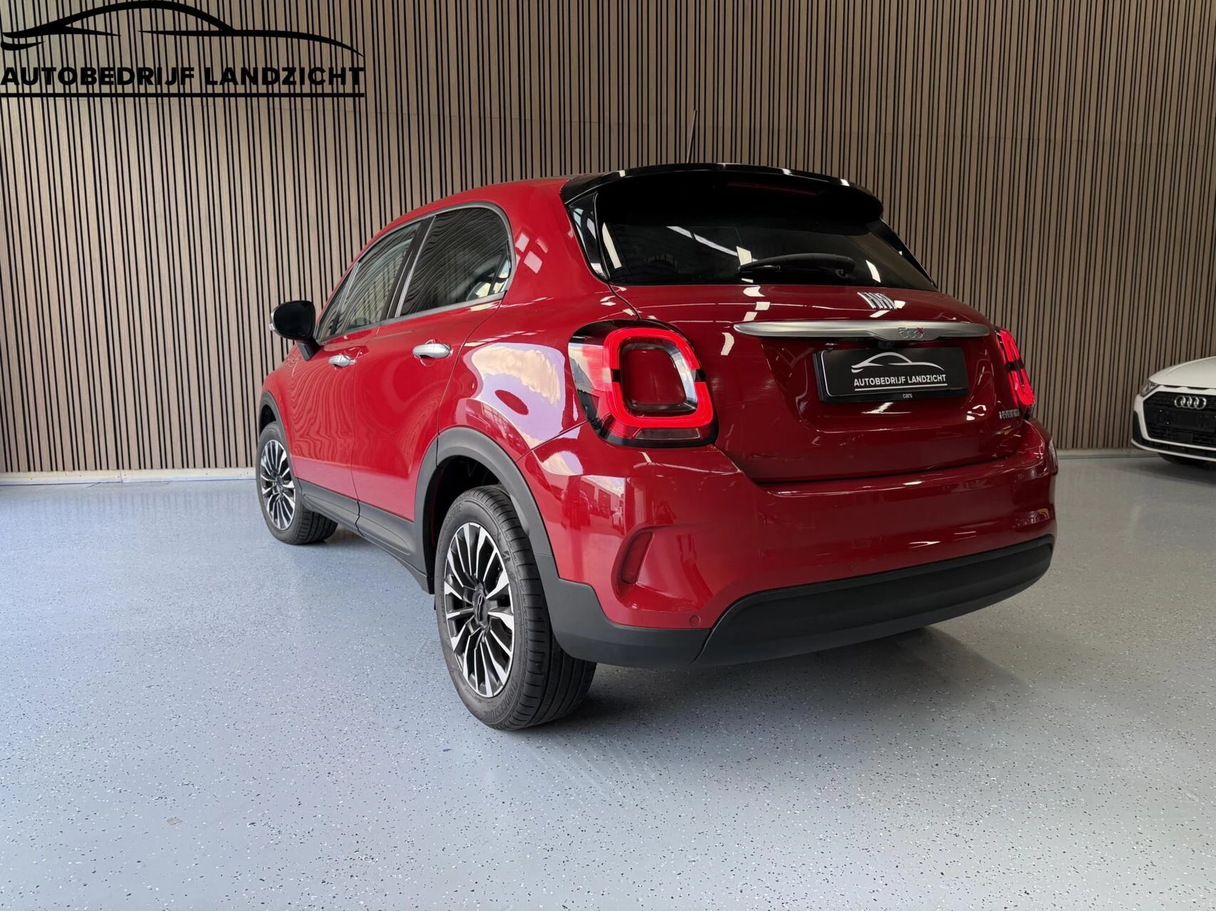 Hoofdafbeelding Fiat 500X