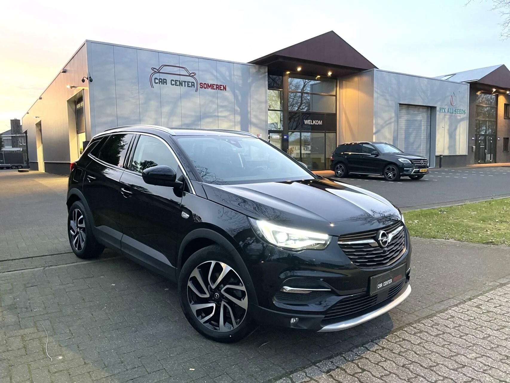 Hoofdafbeelding Opel Grandland X