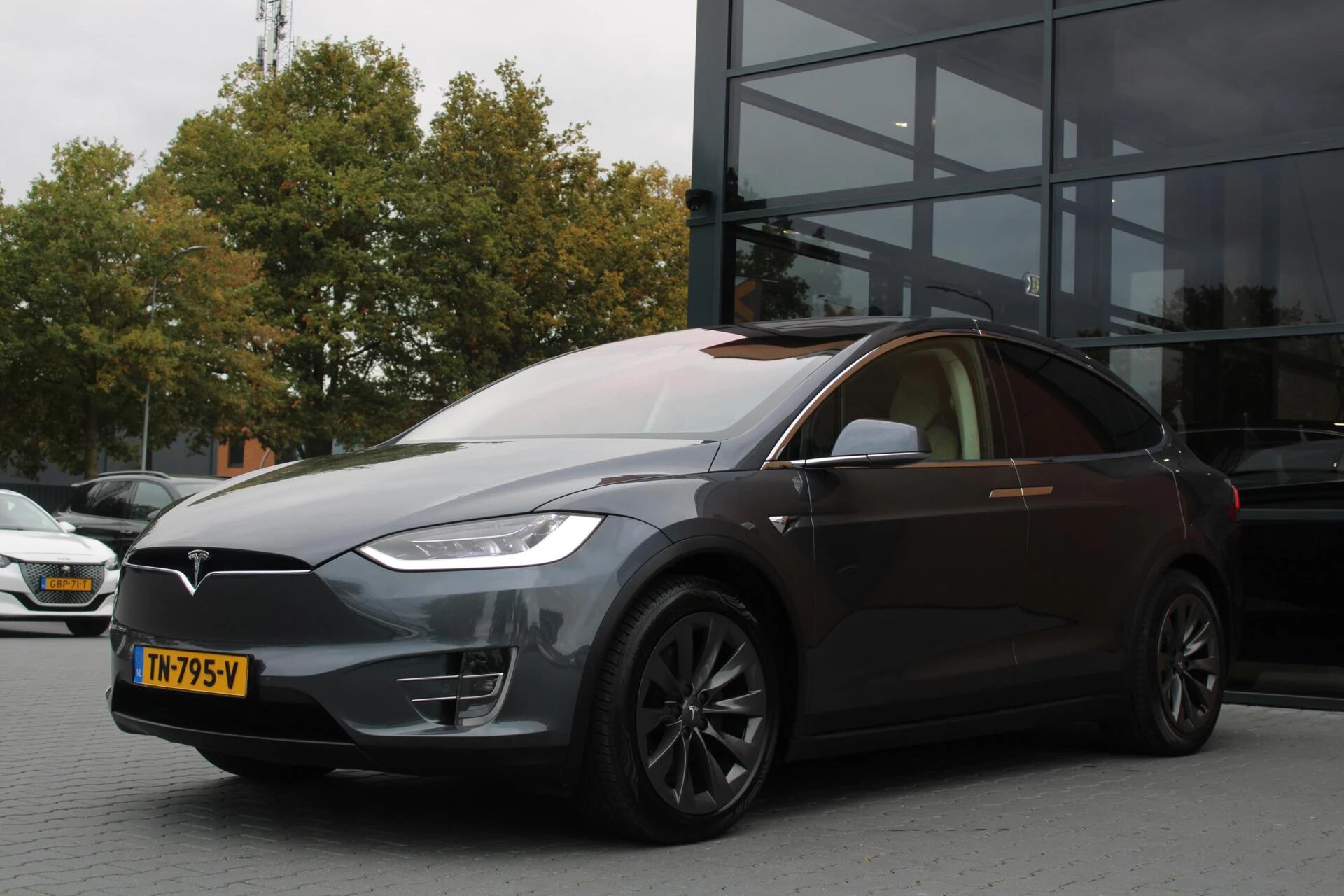 Hoofdafbeelding Tesla Model X