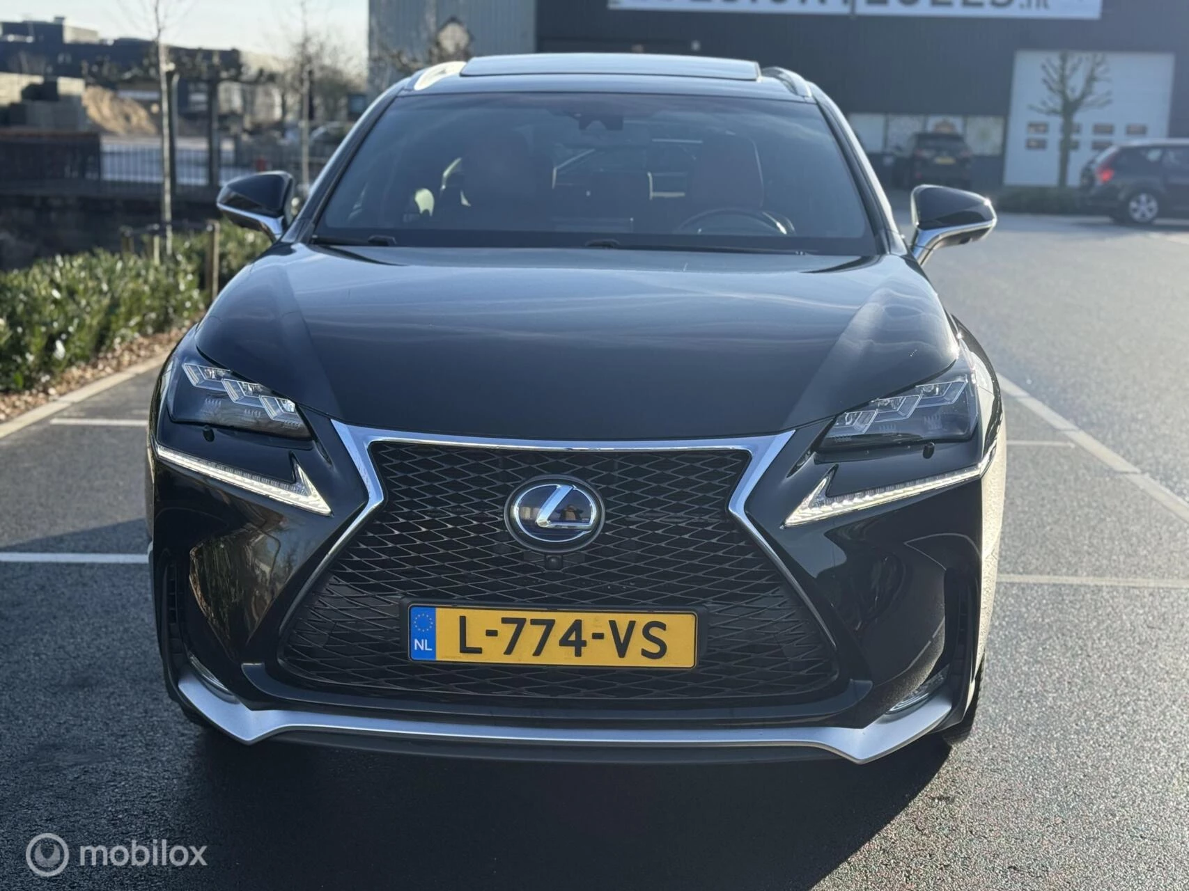 Hoofdafbeelding Lexus NX