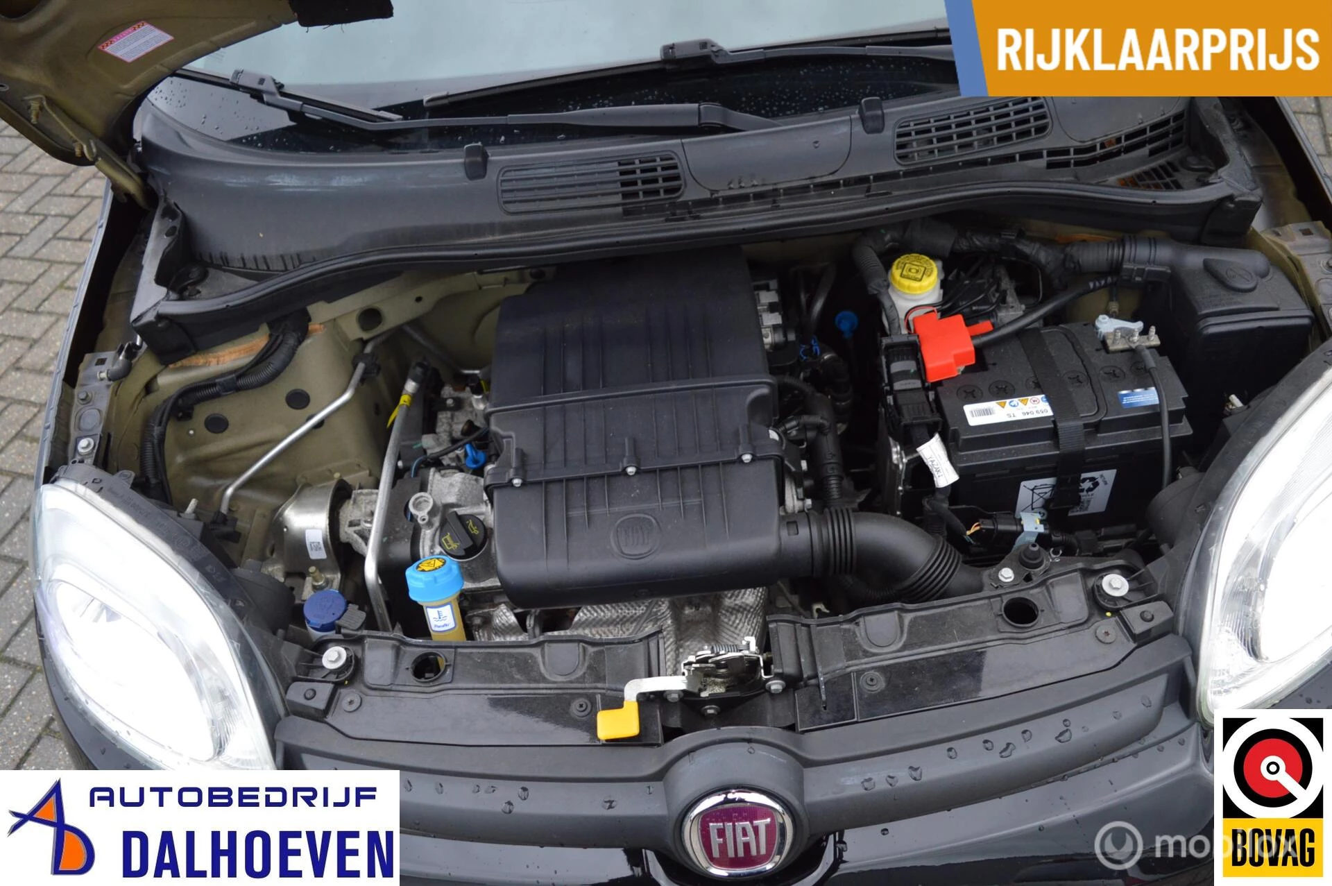 Hoofdafbeelding Fiat Panda