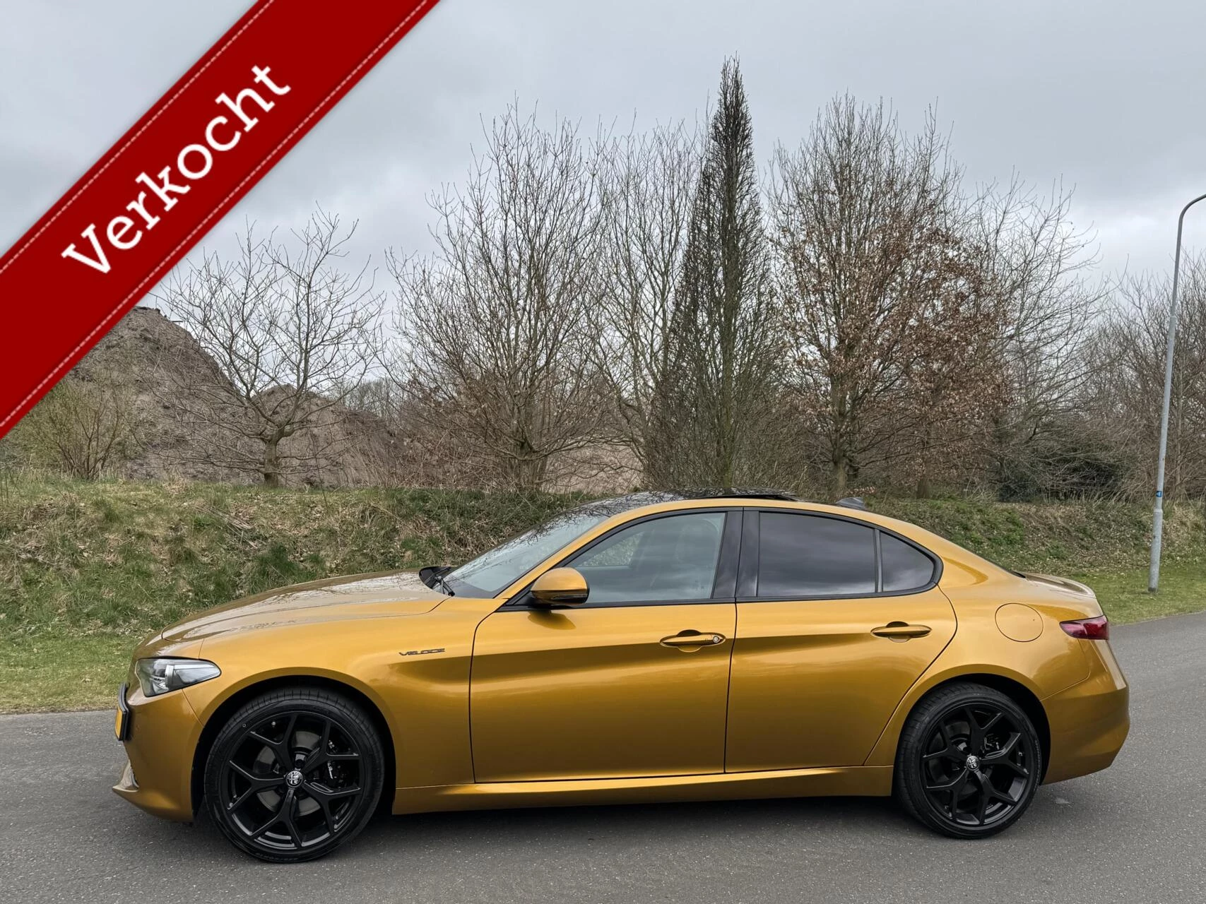Hoofdafbeelding Alfa Romeo Giulia