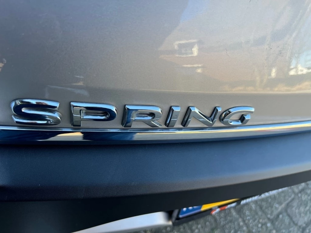 Hoofdafbeelding Dacia Spring