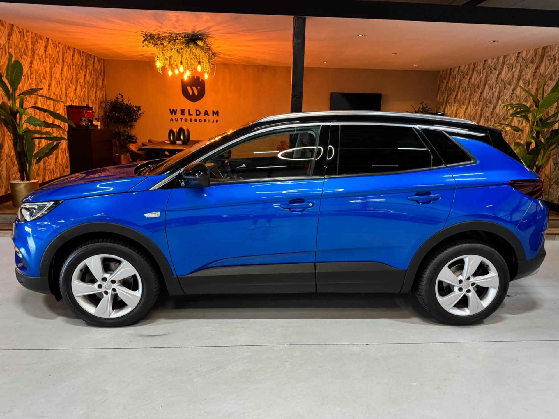 Hoofdafbeelding Opel Grandland X