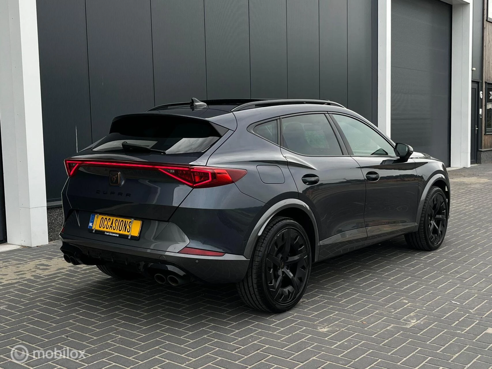 Hoofdafbeelding CUPRA Formentor