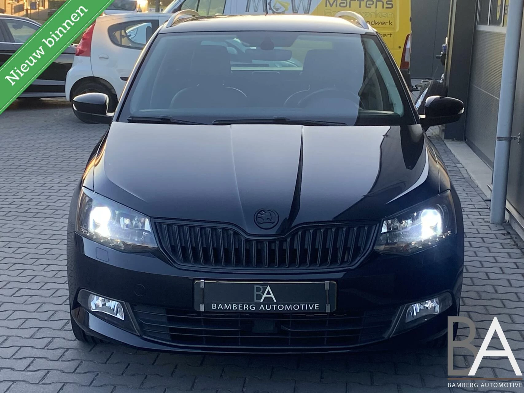 Hoofdafbeelding Škoda Fabia