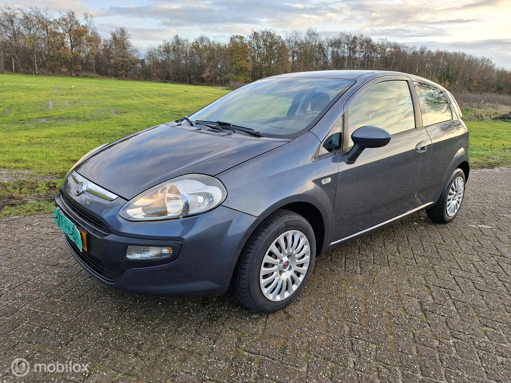 Hoofdafbeelding Fiat Punto