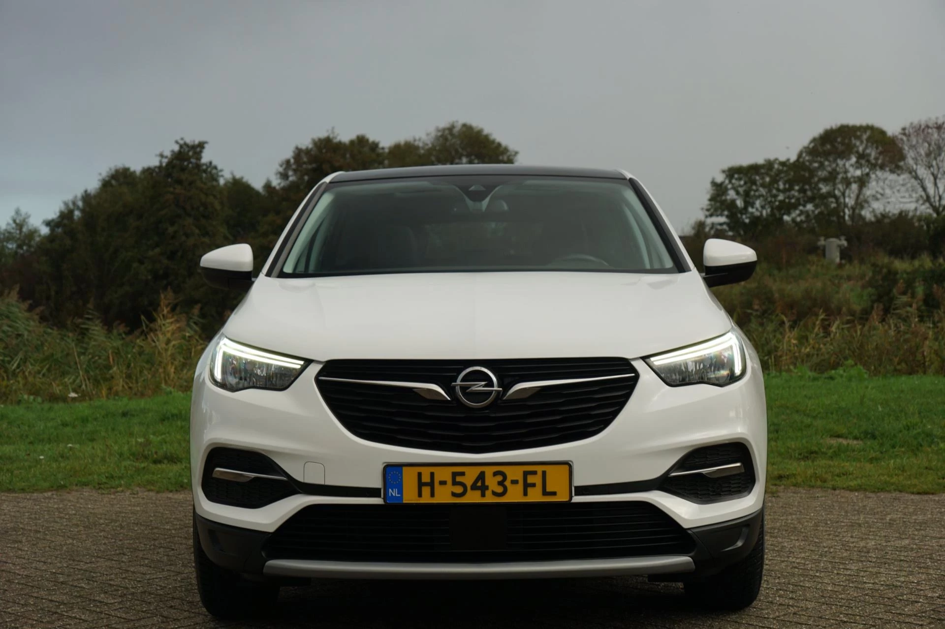 Hoofdafbeelding Opel Grandland X
