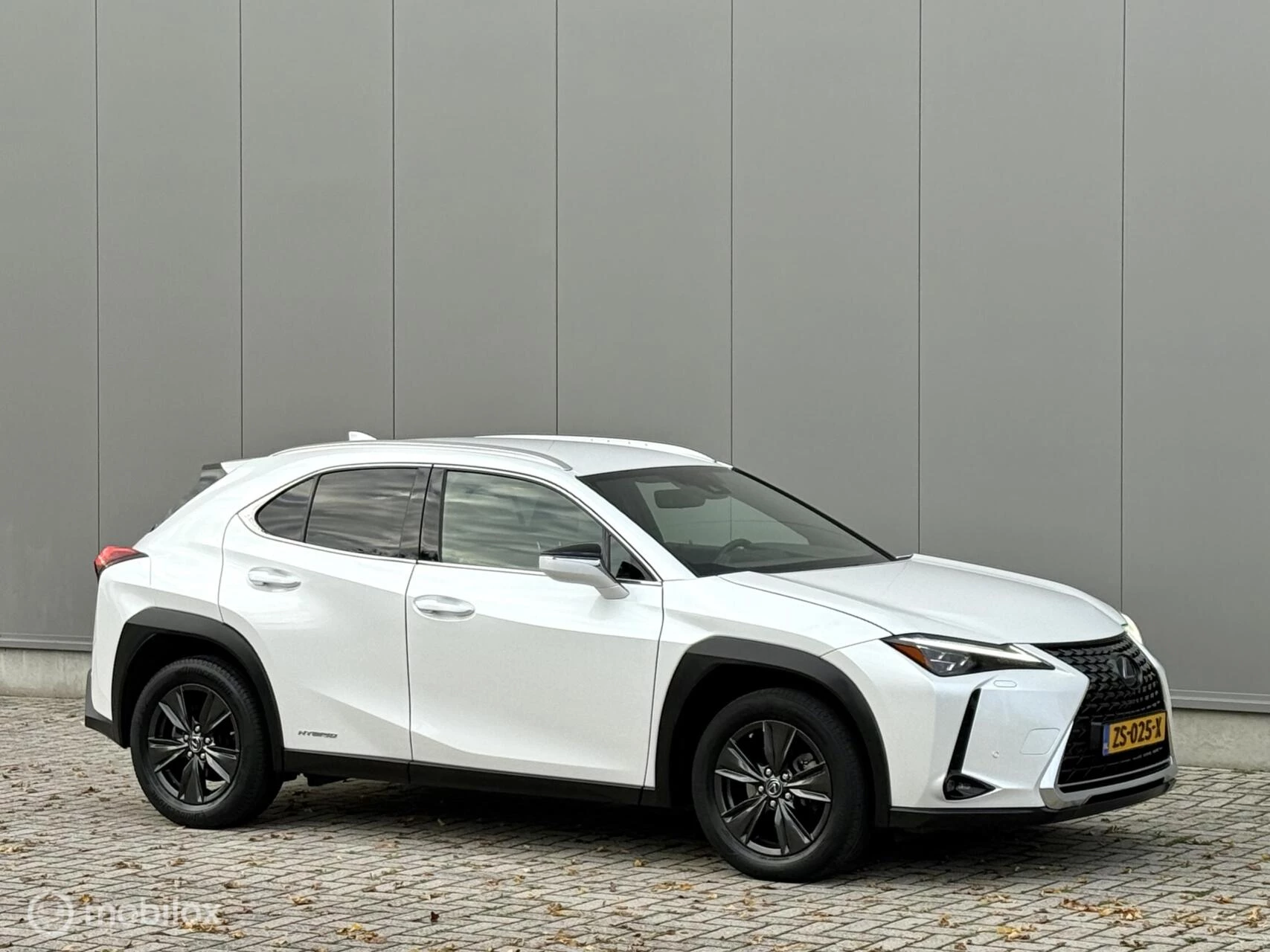 Hoofdafbeelding Lexus UX