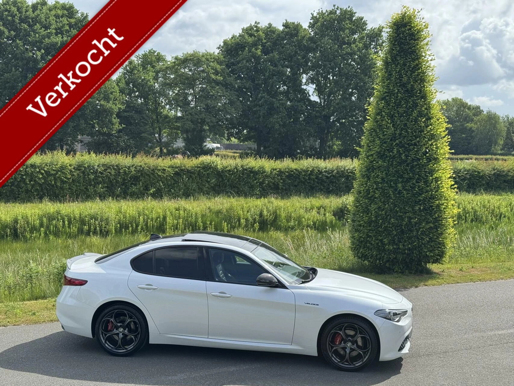 Hoofdafbeelding Alfa Romeo Giulia