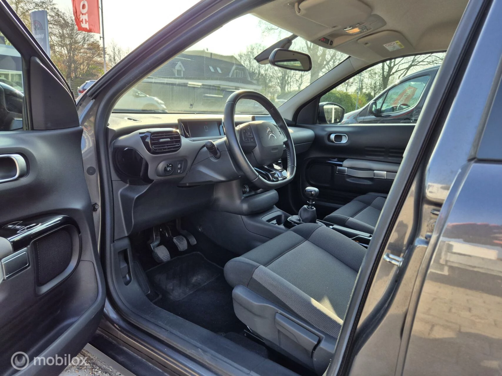 Hoofdafbeelding Citroën C4 Cactus