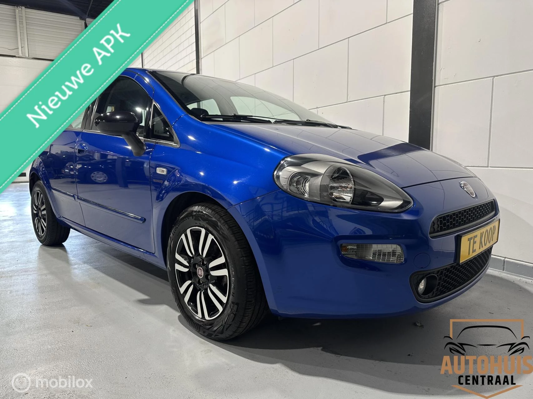 Hoofdafbeelding Fiat Punto
