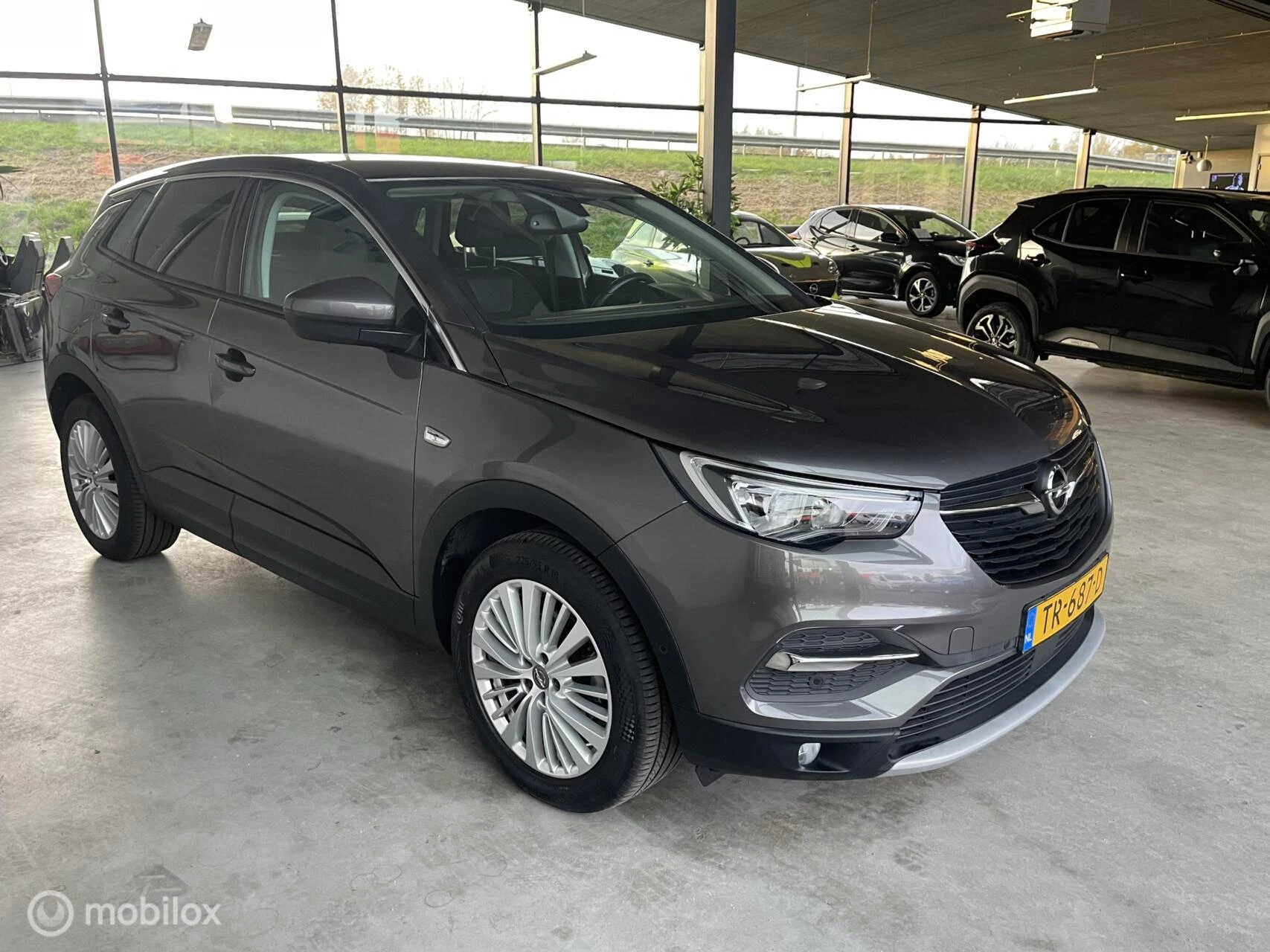 Hoofdafbeelding Opel Grandland X