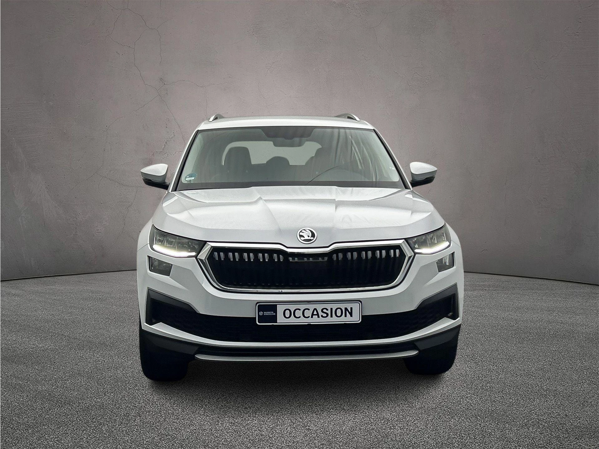 Hoofdafbeelding Škoda Kodiaq