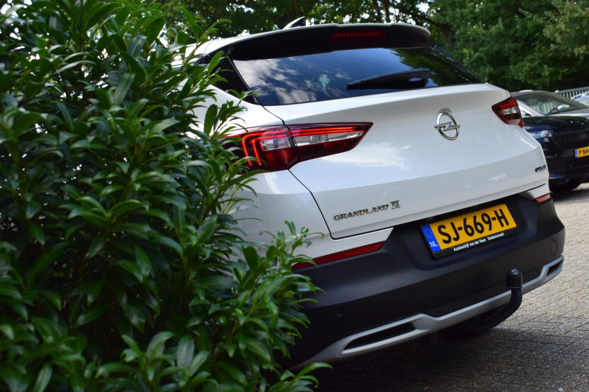 Hoofdafbeelding Opel Grandland X