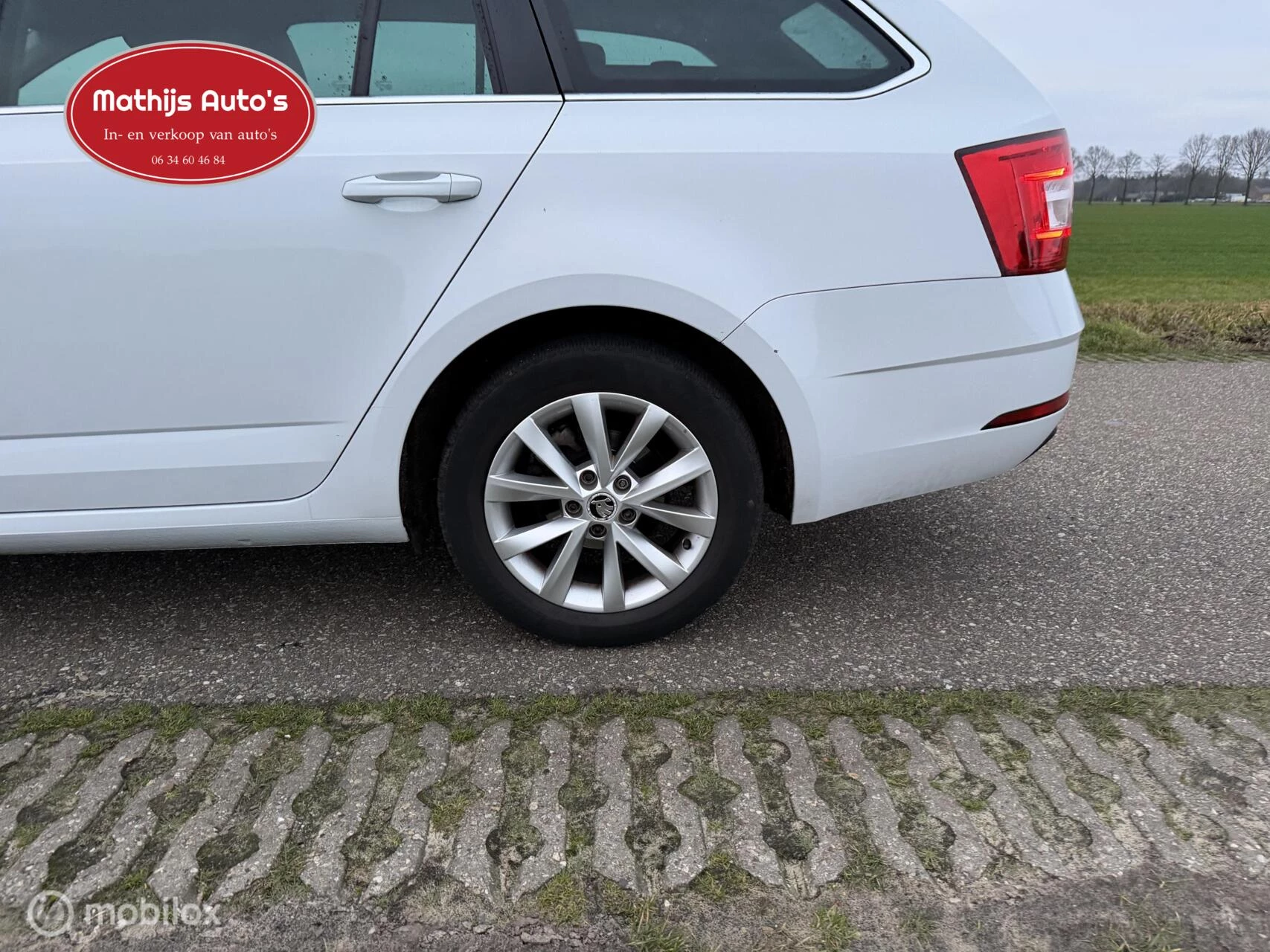 Hoofdafbeelding Škoda Octavia