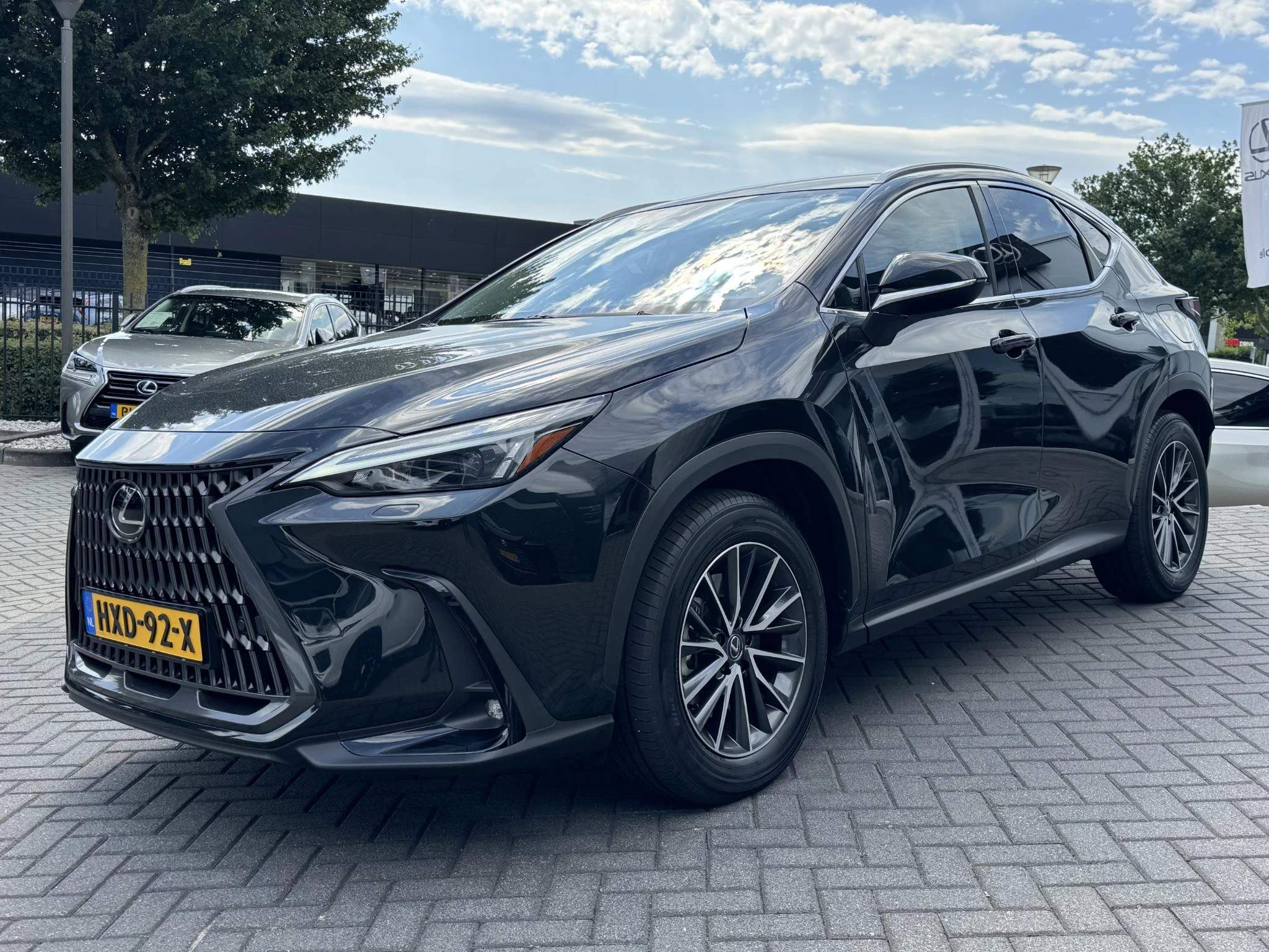 Hoofdafbeelding Lexus NX