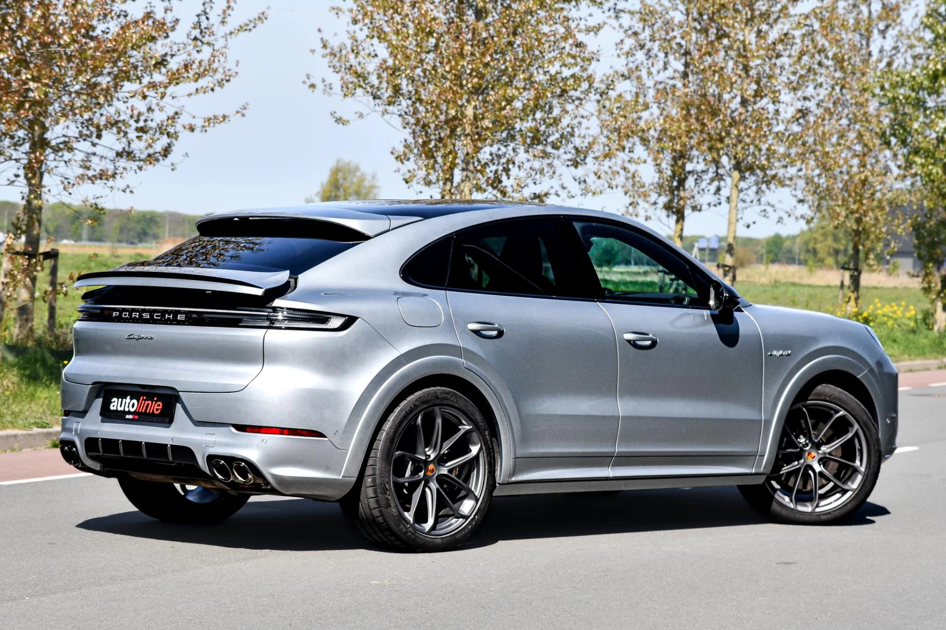 Hoofdafbeelding Porsche Cayenne