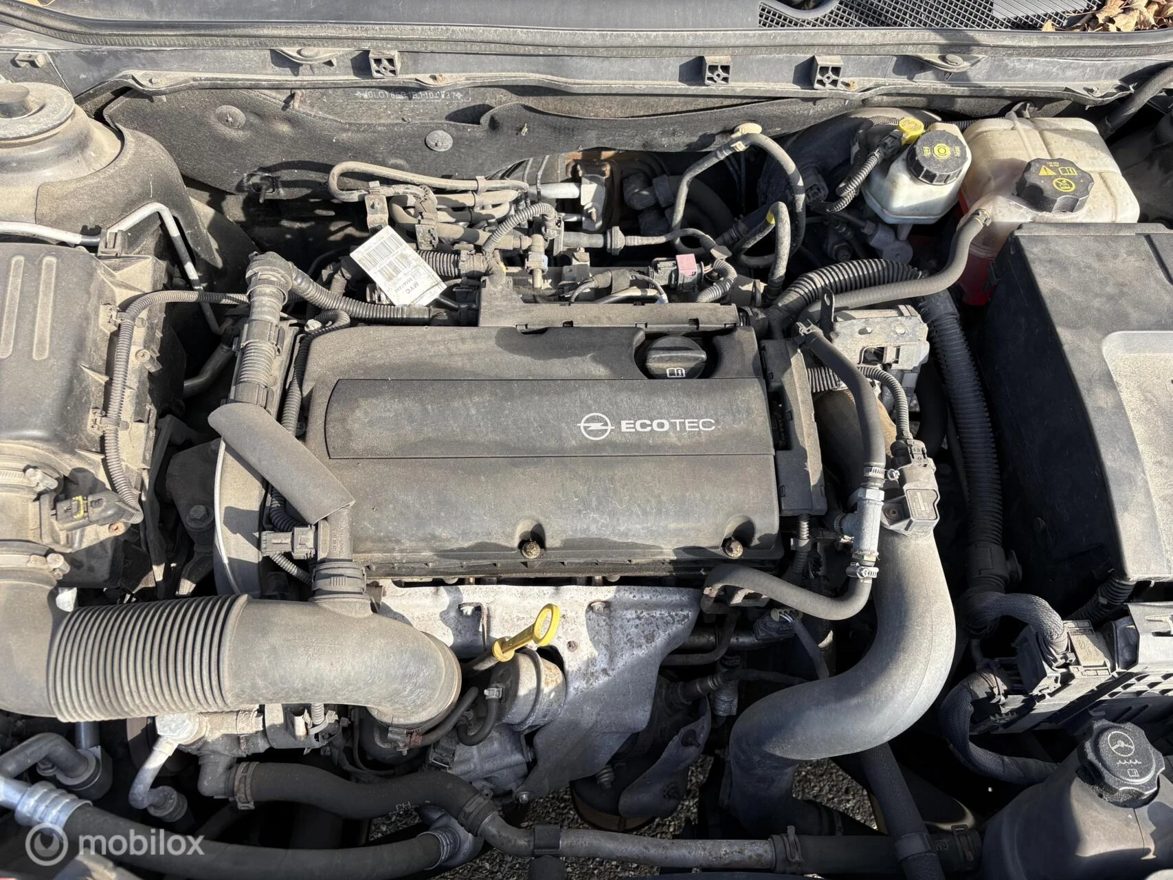 Hoofdafbeelding Opel Insignia