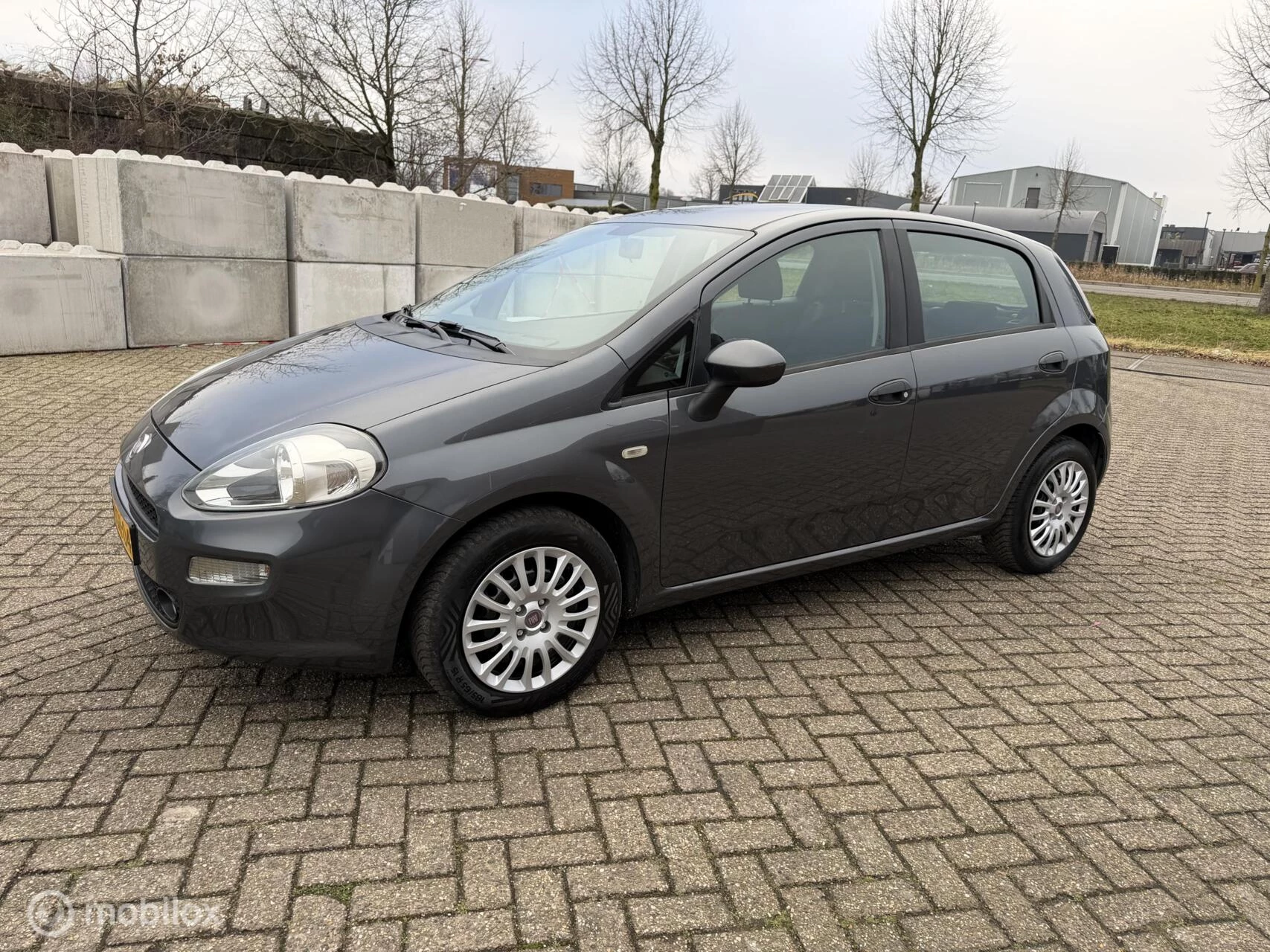 Hoofdafbeelding Fiat Punto