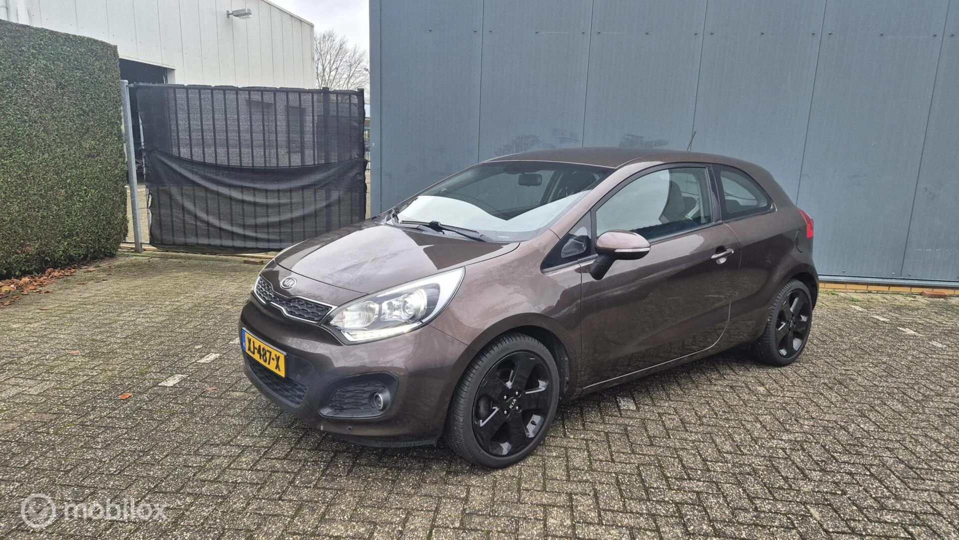 Hoofdafbeelding Kia Rio